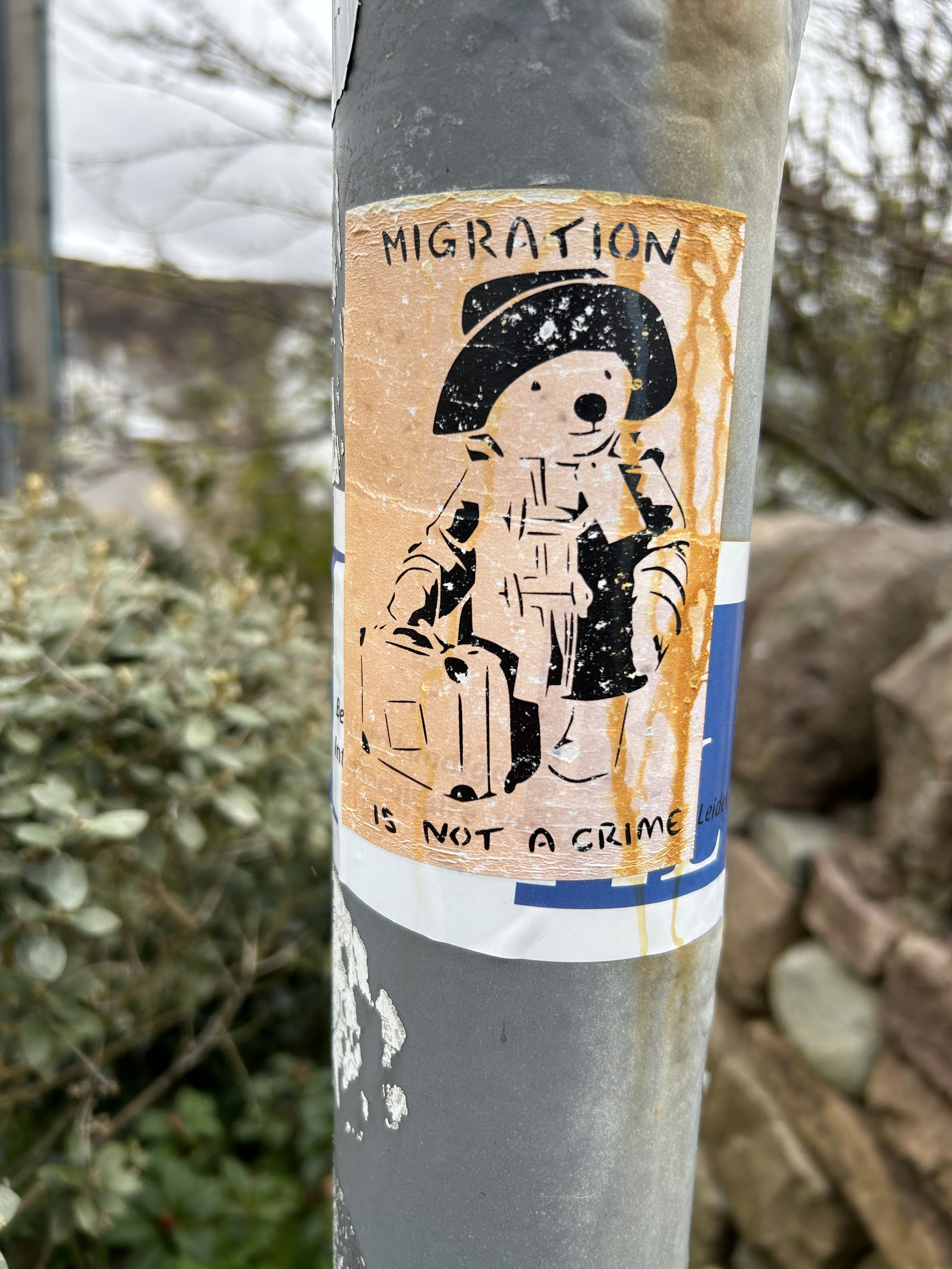 Sticker on pole depicting a bear dressed as a traveler with a suitcase and backpack, wearing a hat. Text on sticker reads 'Migration is not a crime'.