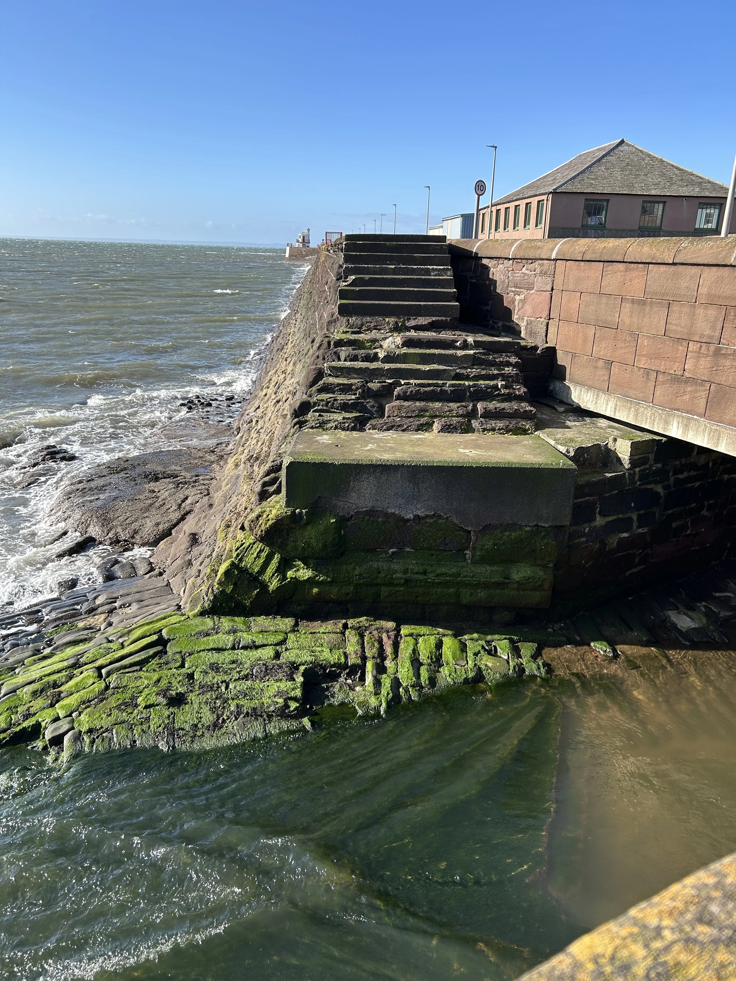 Seaside view of moss-covered steps and a stone wall leading down to the water, with a building and lighthouse in the distance under a clear blue sky.