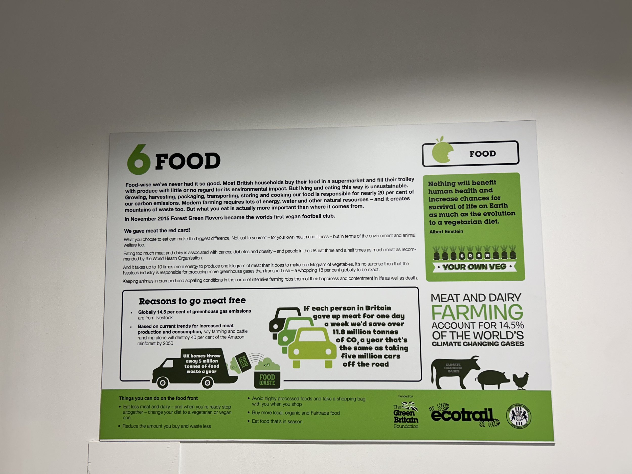 Poster promoting plant-based eating and sustainable farming. Includes statistics on greenhouse gas emissions from livestock, benefits of vegetarian diet, and tips for reducing food waste. Logos of eco-friendly organizations.