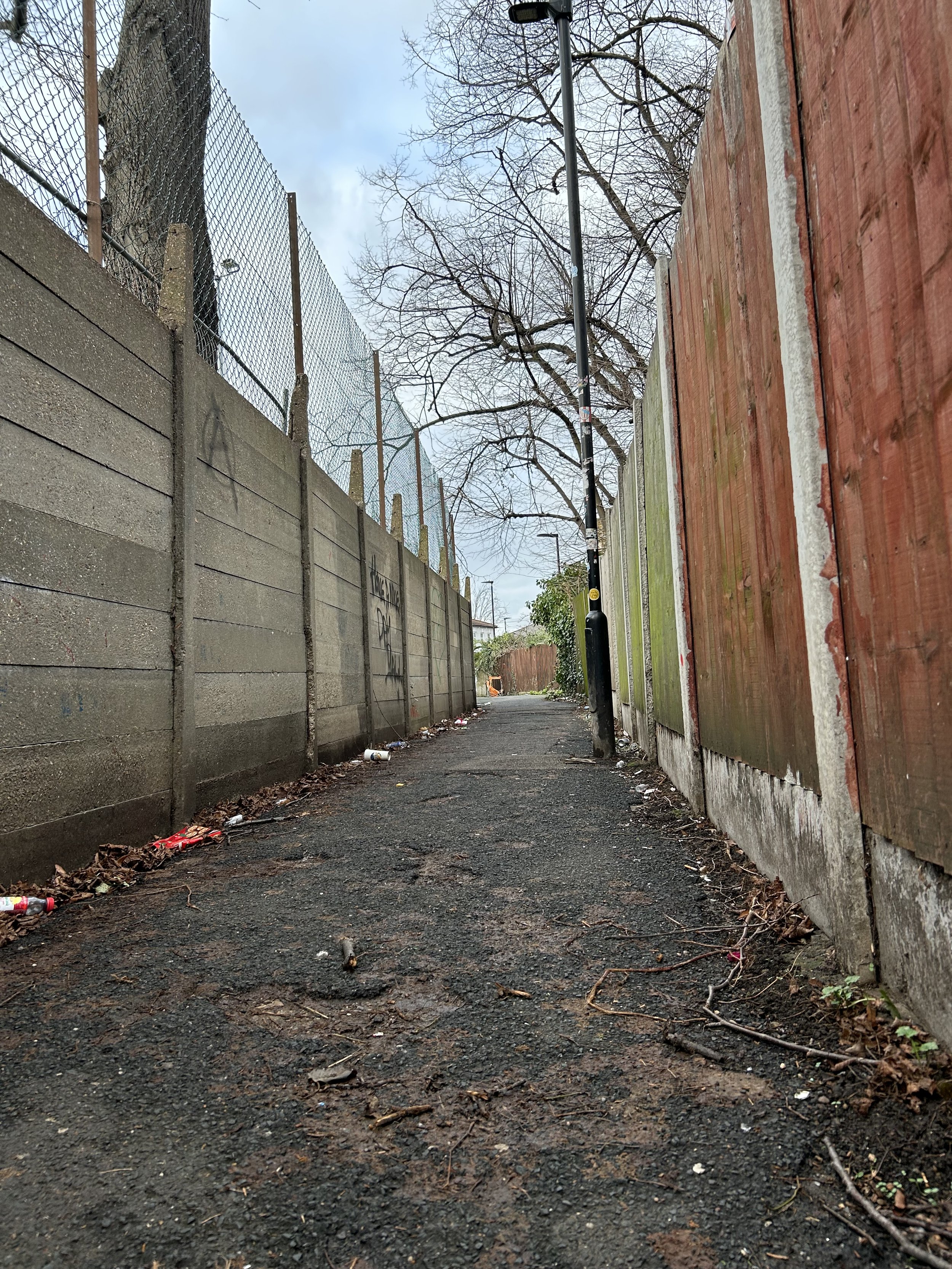 A narrow alleyway with a rough asphalt surface, lined by graffiti-covered concrete and wooden fences on either side. A few leafless trees and a streetlamp are visible against an overcast sky, with scattered litter on the ground.