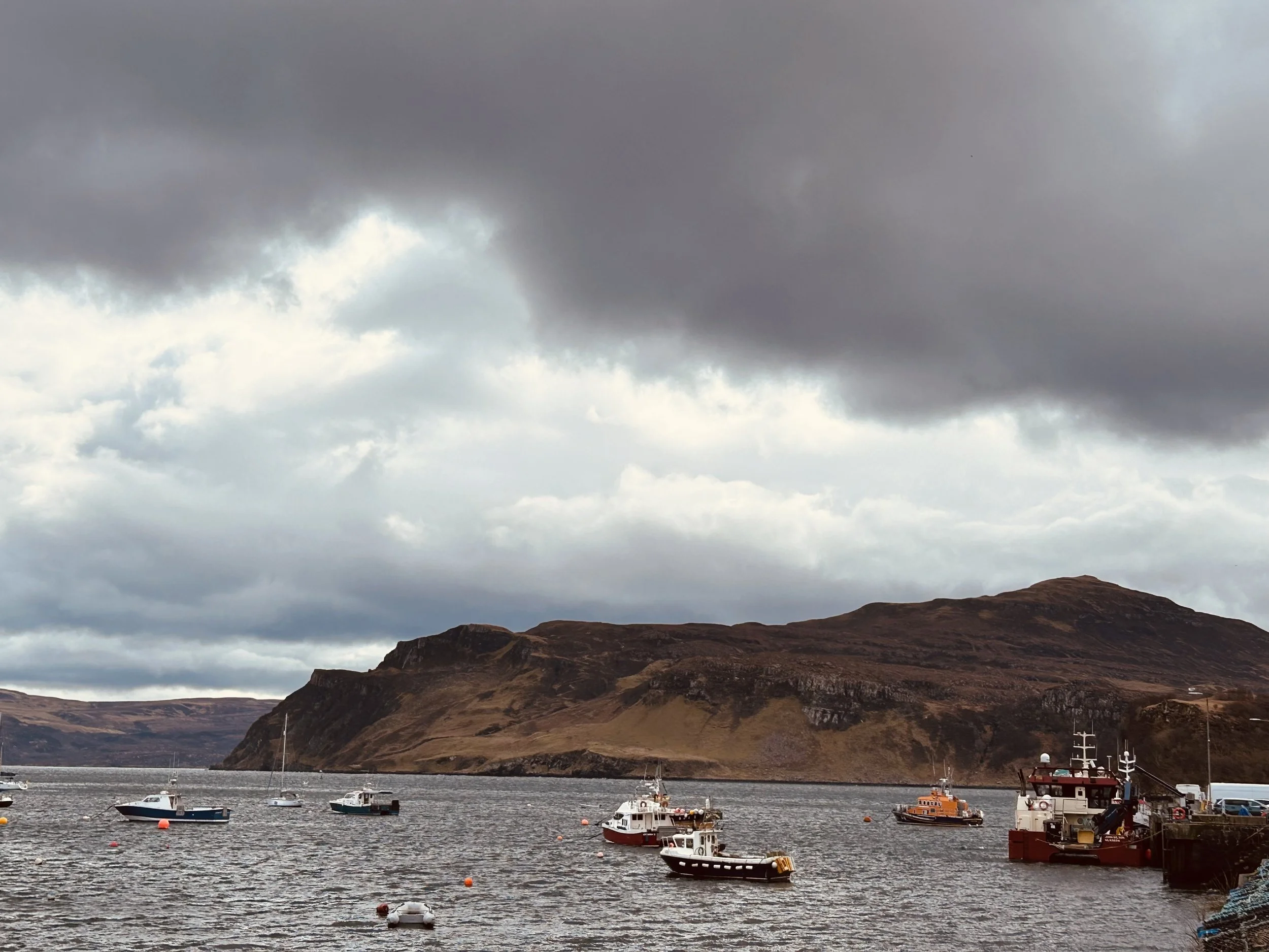 A harbor with several boats, including sailboats and motorboats, anchored near a rugged coastline with hills under a cloudy sky.
