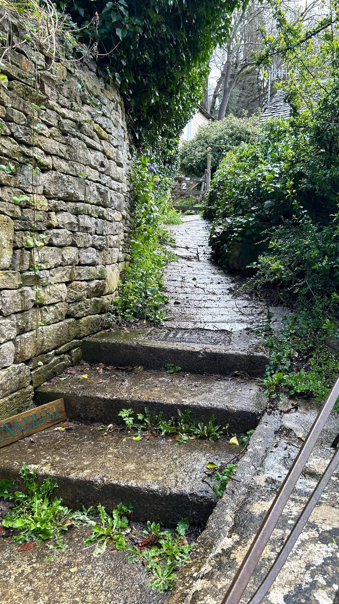 Wet stone steps leading up a narrow pathway lined with a stone wall on the left and green foliage on the right, with a wooden gate at the top of the steps.