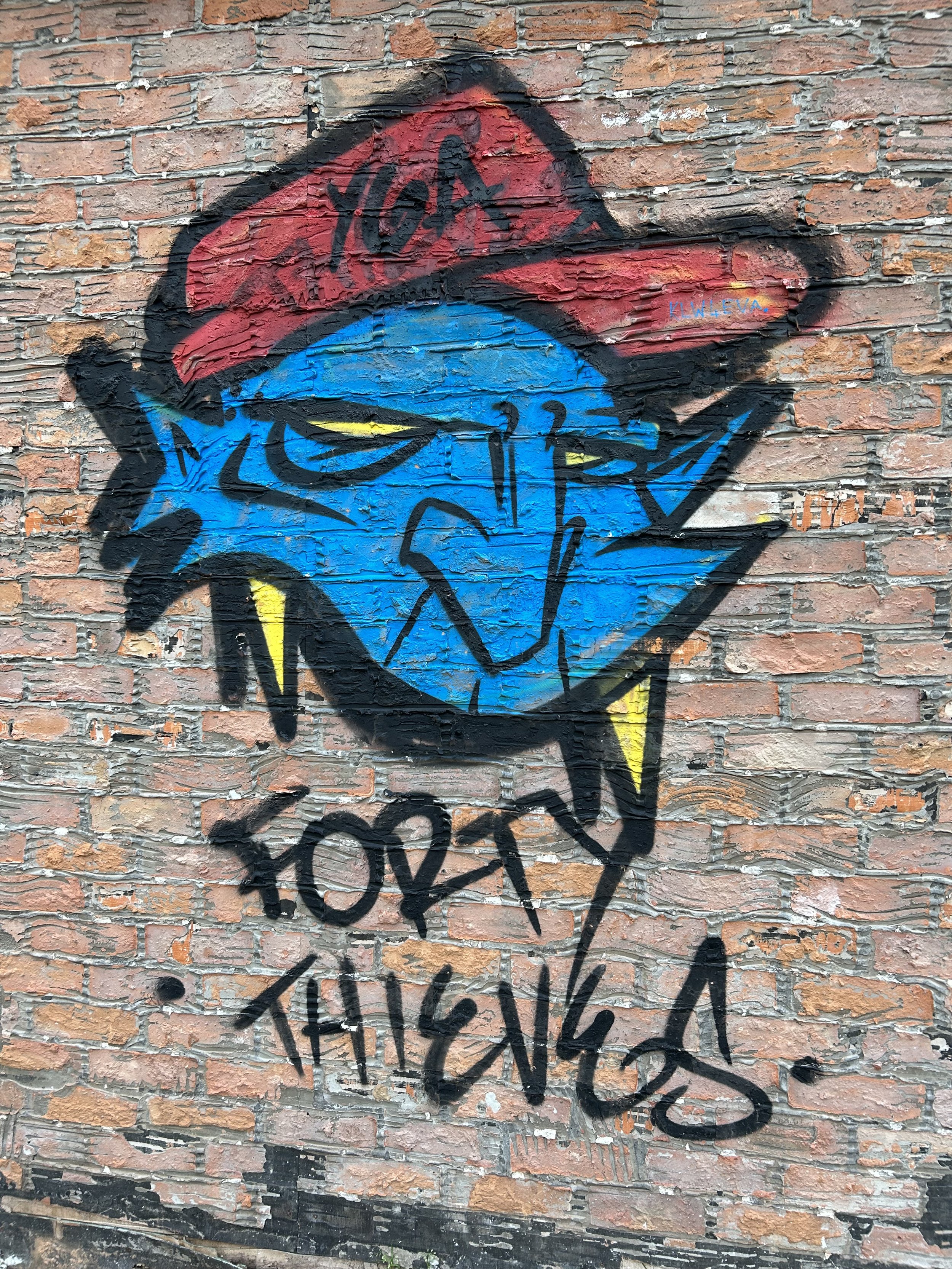 Graffiti of a Robert Peck cartoon character on a brick wall, wearing a red cap with the word 'YOGA' written on it, making a peace sign with his fingers and holding one eye closed. The text below reads 'TOOZY THINGS'.