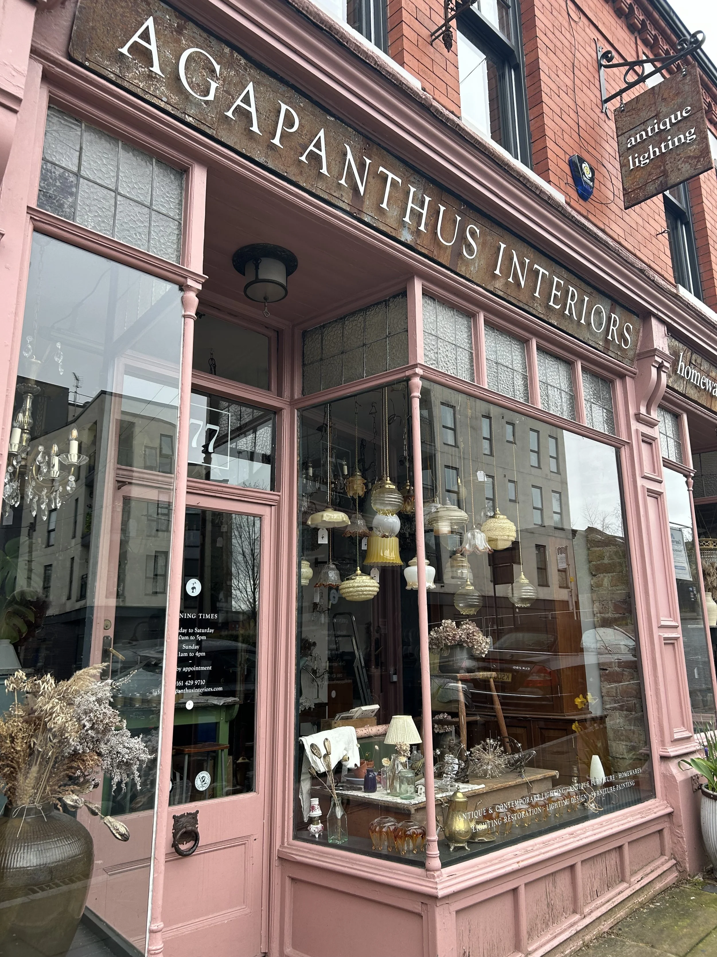 Storefront of Agapanthus Interiors, an antique lighting and furniture shop, with large windows displaying vintage lamps, chandeliers, and decor inside, pink exterior with decorative molding, and a sign reading 'antique lighting' hanging above.