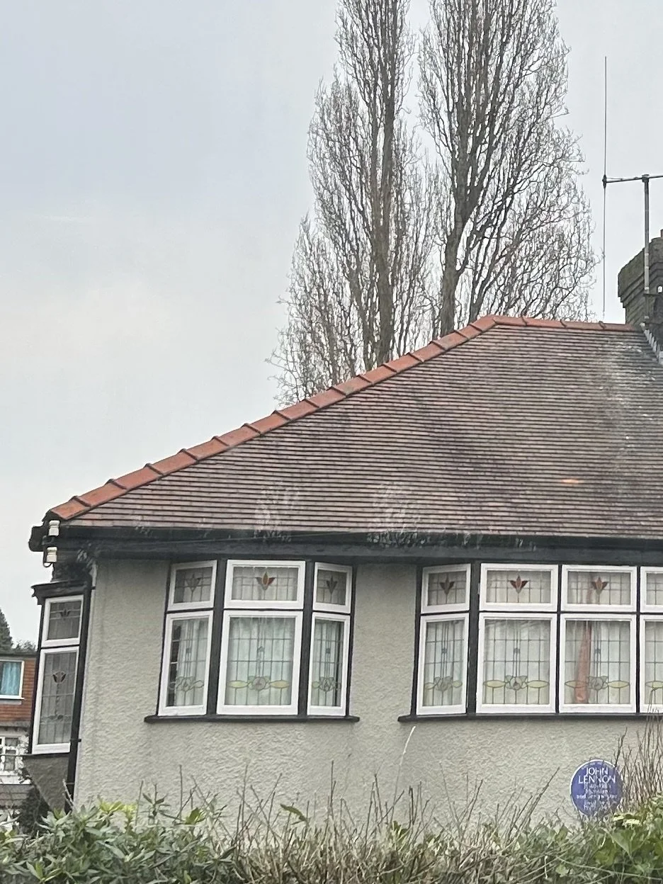 A house with a beige textured exterior and stained glass windows, surrounded by leafless trees and bushes under an overcast sky.