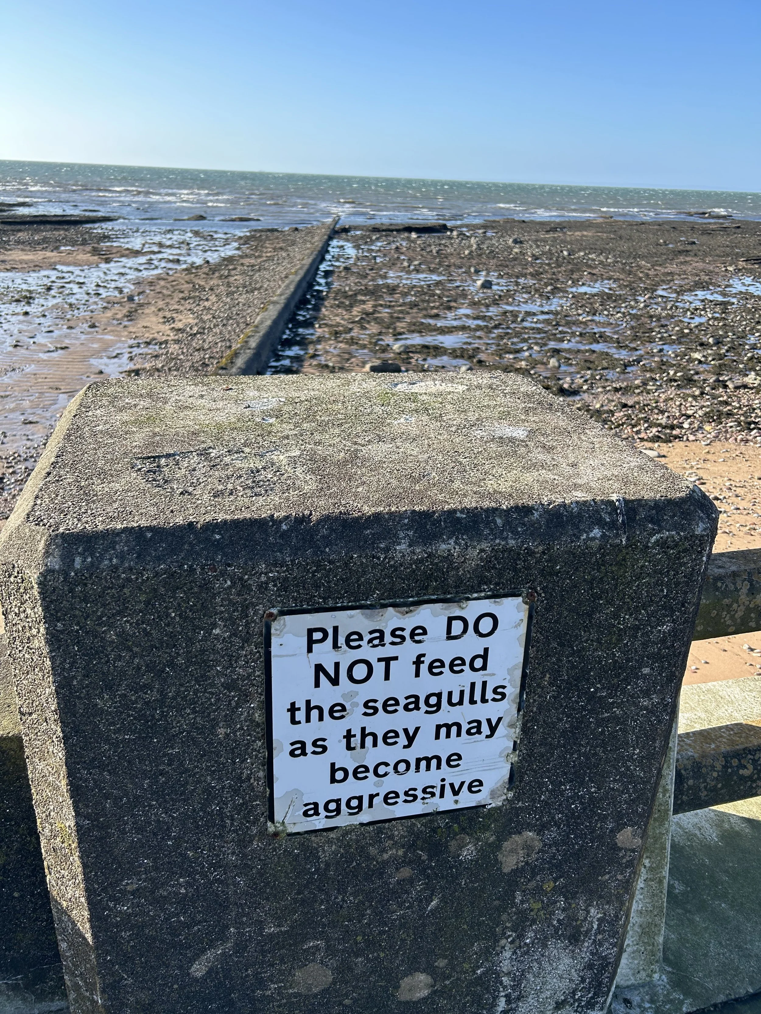 A concrete barrier with a sign that says 'Please DO NOT feed the seagulls as they may become aggressive,' on a beach with water, sand, and rocks in the background.