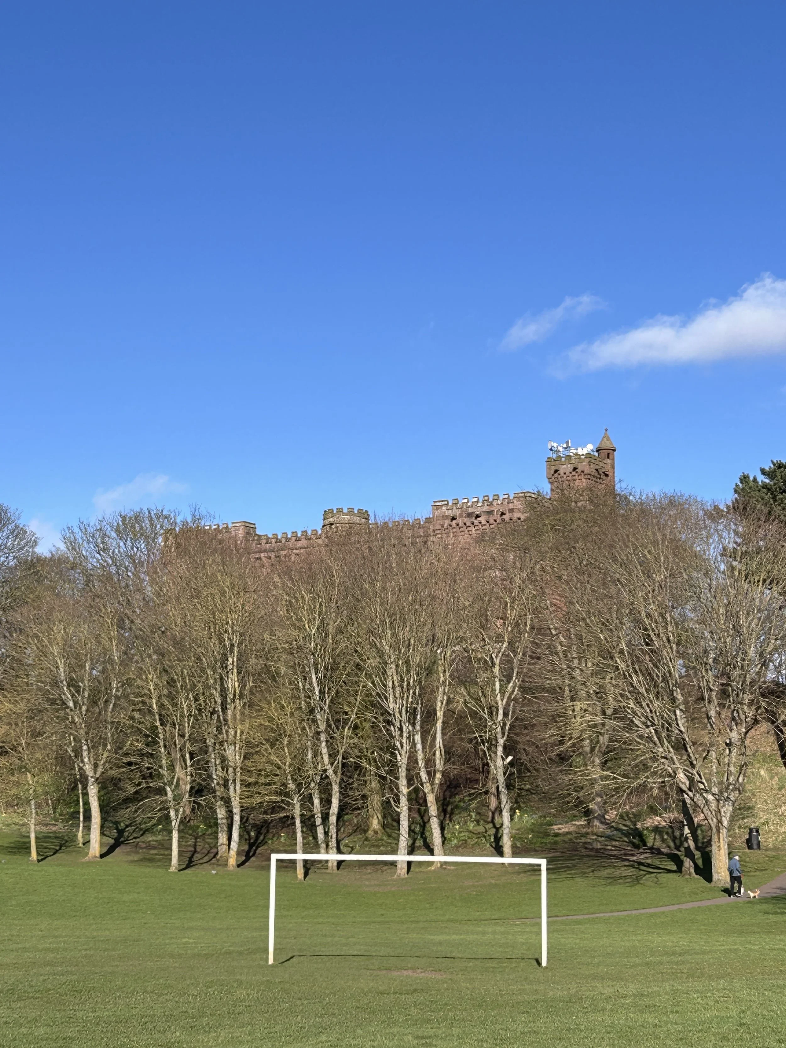 A grassy park area with a white goalpost in the foreground, a cluster of leafless trees behind it, and a castle on a hill in the background under a clear blue sky.