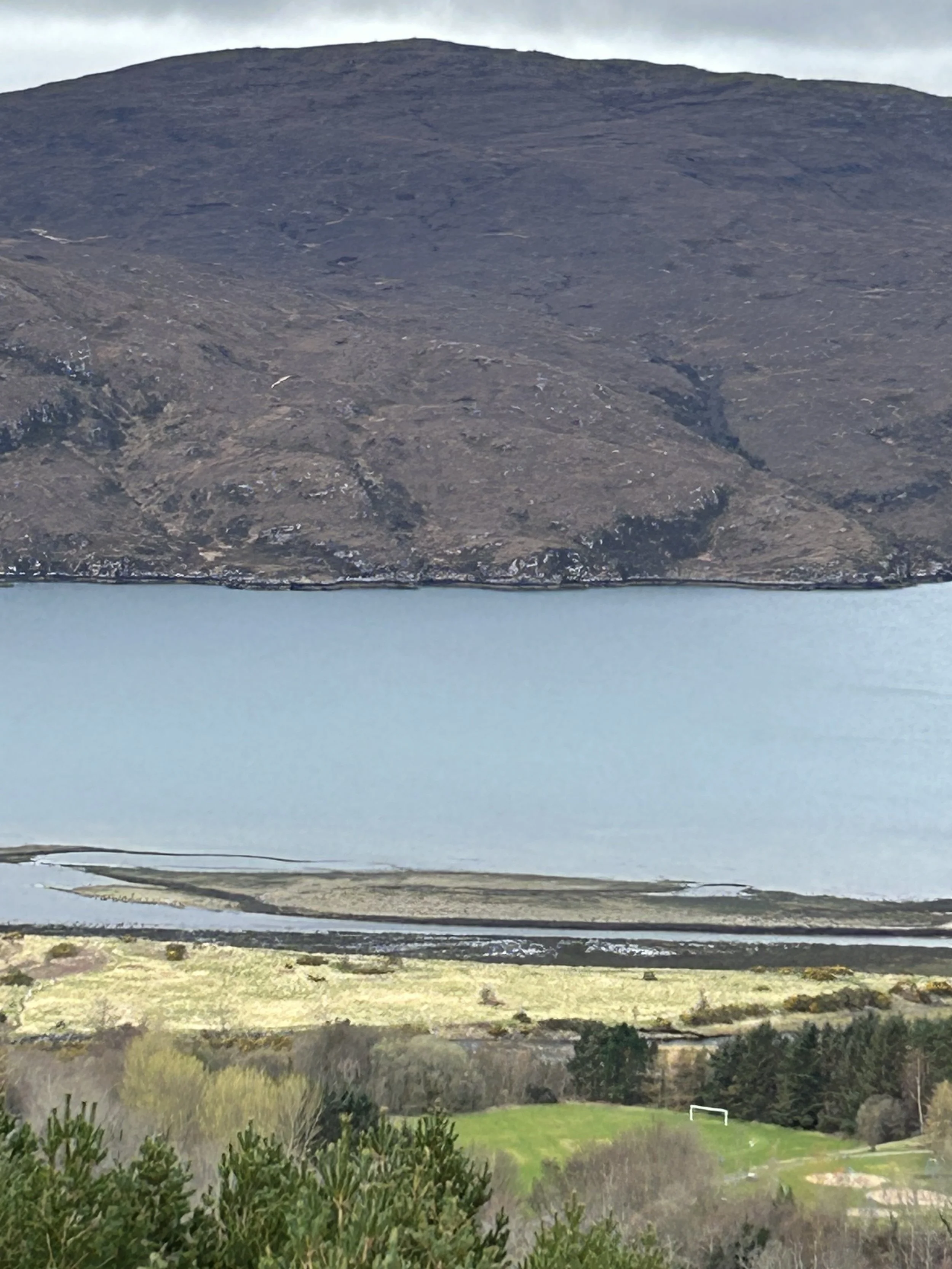 A landscape with a large body of water in the foreground, grassy land and trees, and mountains in the background under cloudy skies.