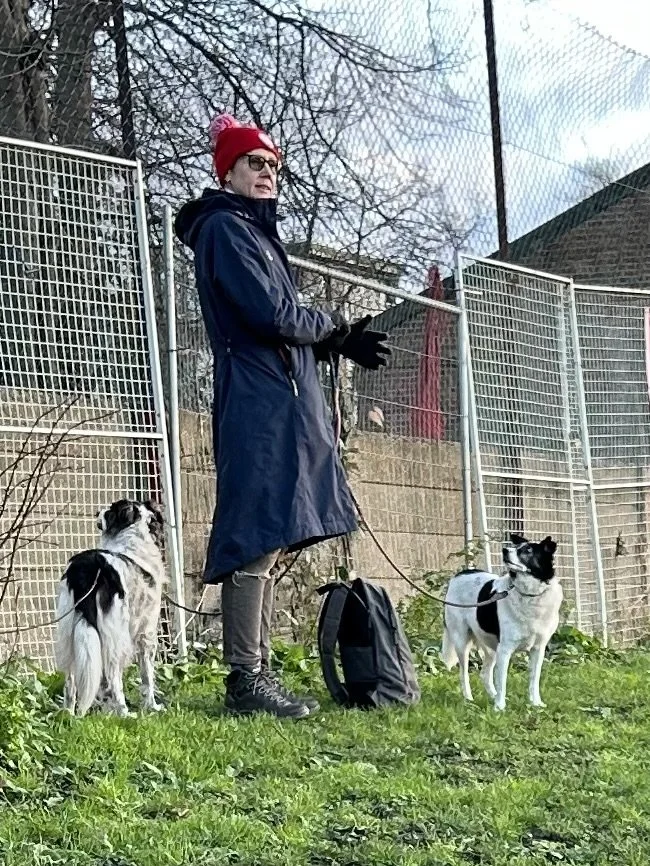 An elderly woman wearing a red knit cap, glasses, a long blue coat, and gloves stands on a grassy area with two black and white dogs on leashes. She has a black backpack on the ground beside her.