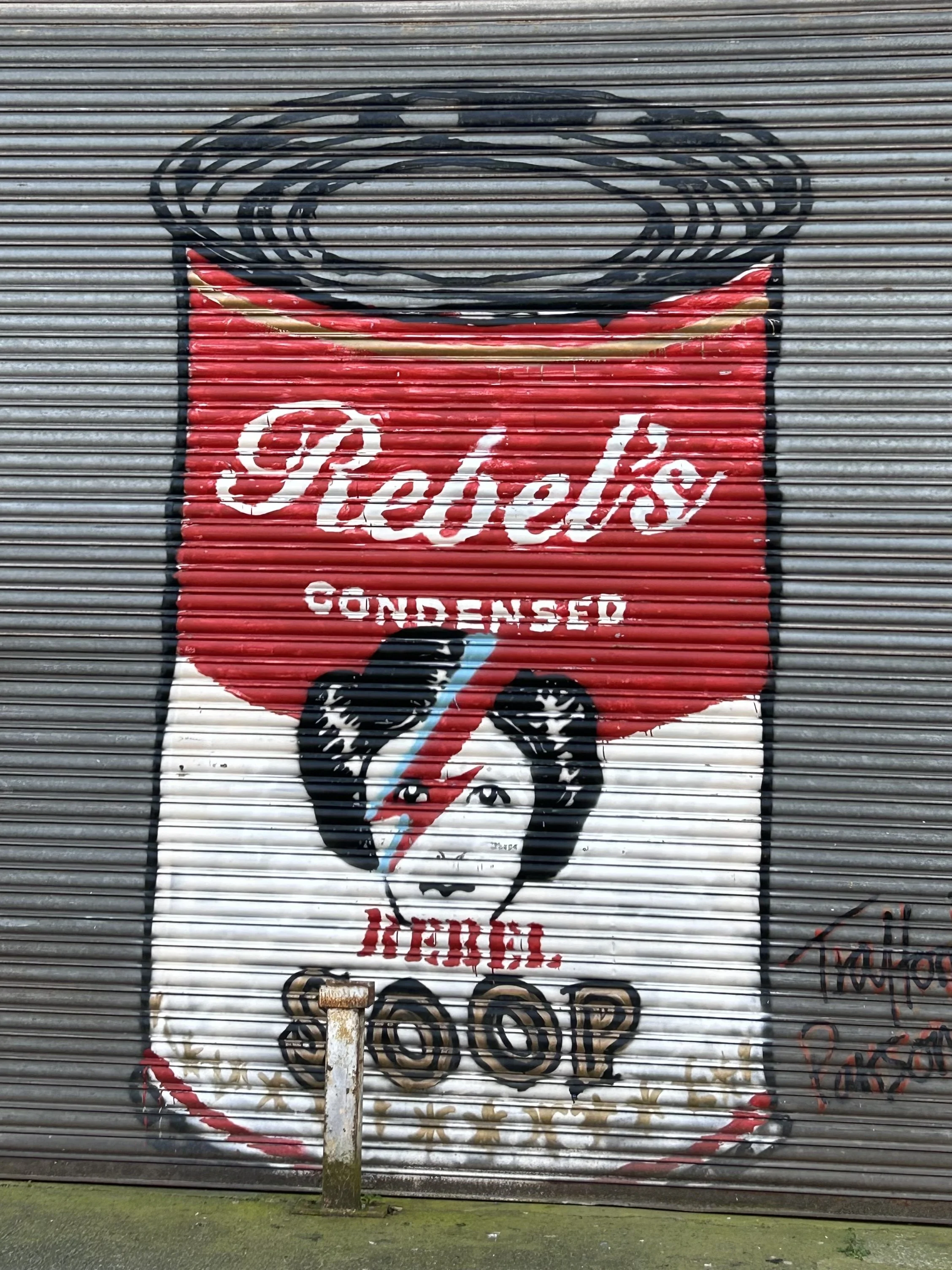 Street art graffiti on a metal shutter depicting a woman with a lightning bolt across her face, associated with the 'Pink Floyd' album cover, with the words 'Pentels Condensed' and 'Hot Top' painted on it.