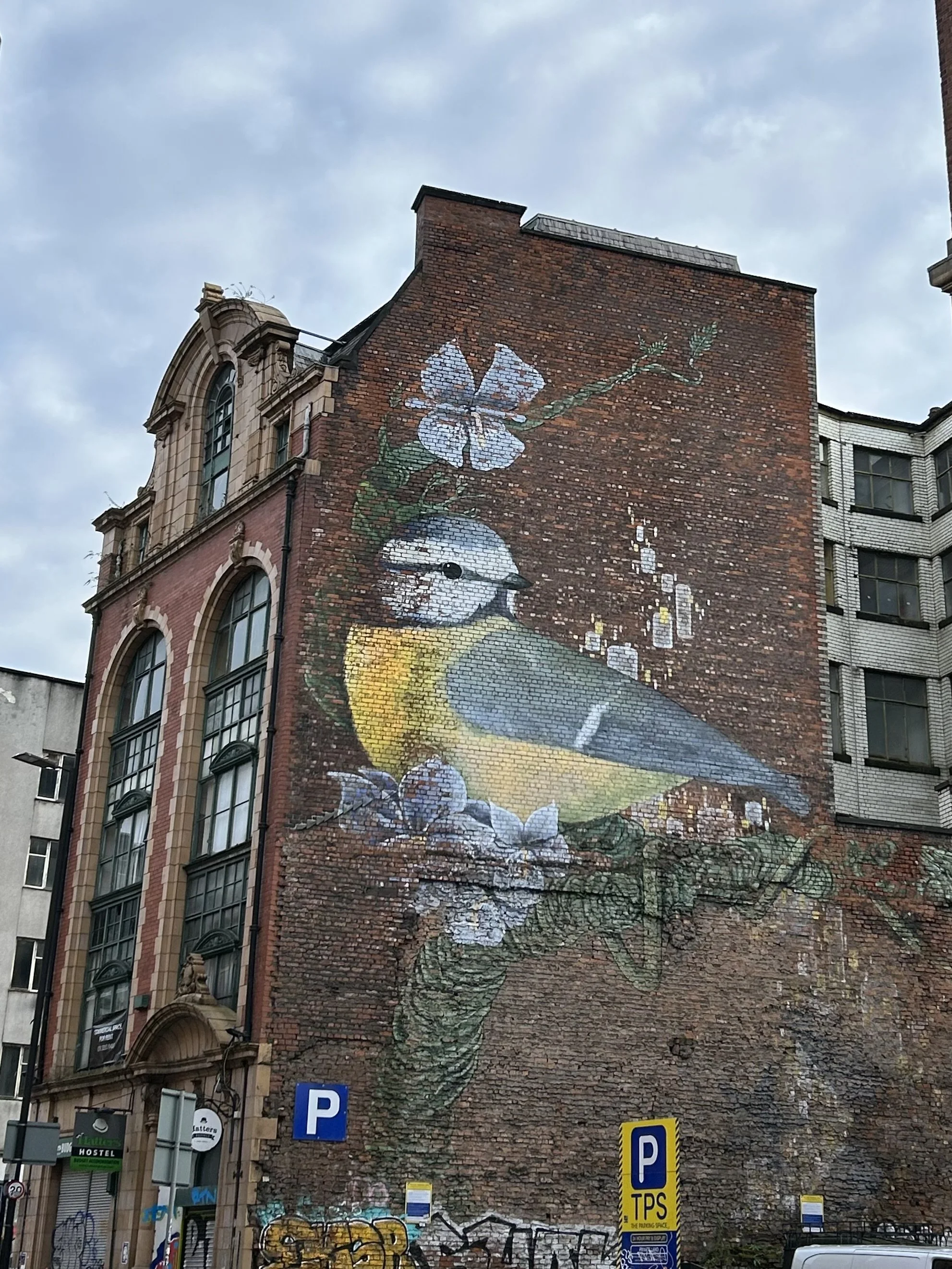 Large mural of a bird perched on a branch with flowers painted on the side of a brick building.