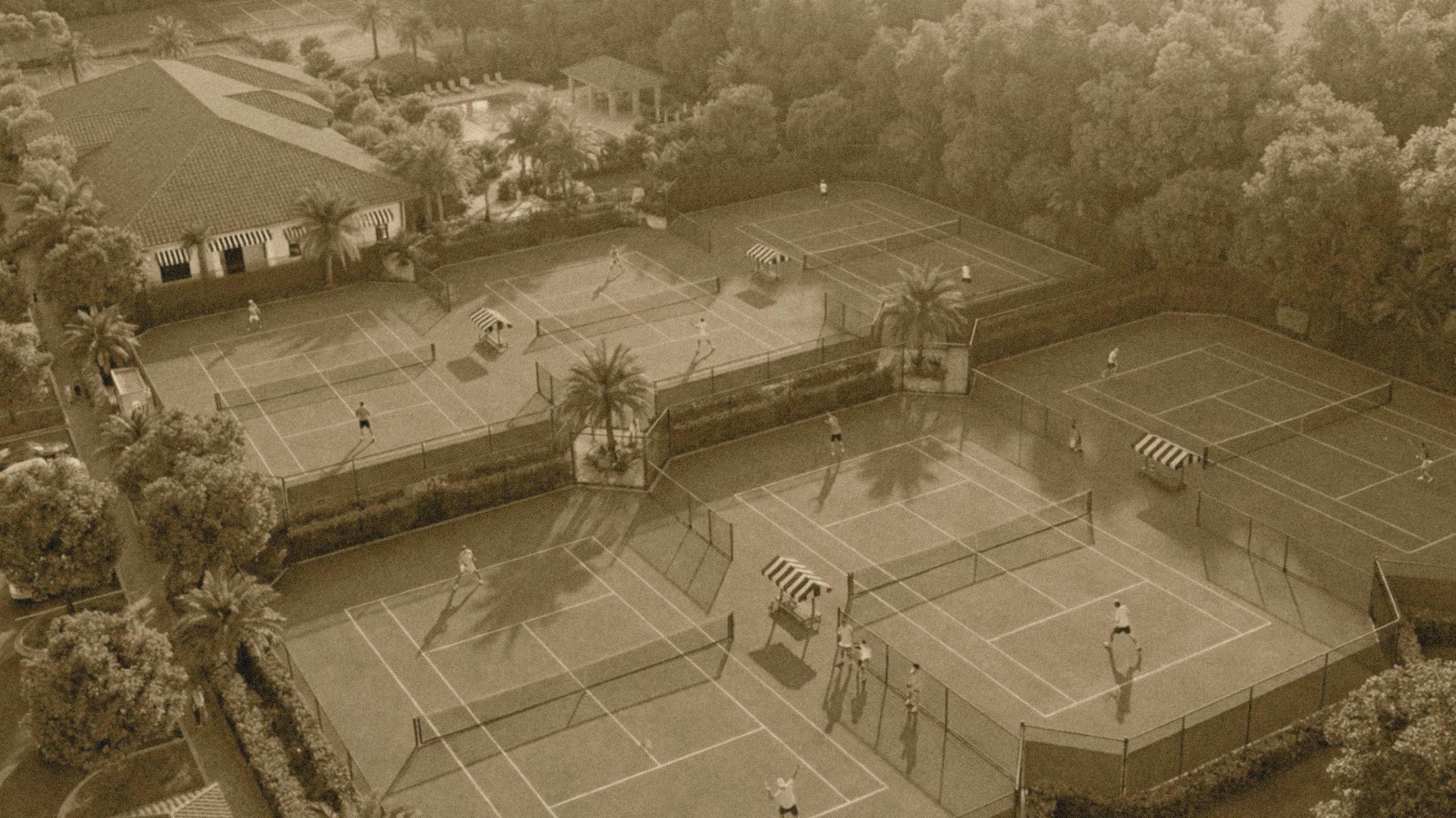 Birdseye_sepia.png