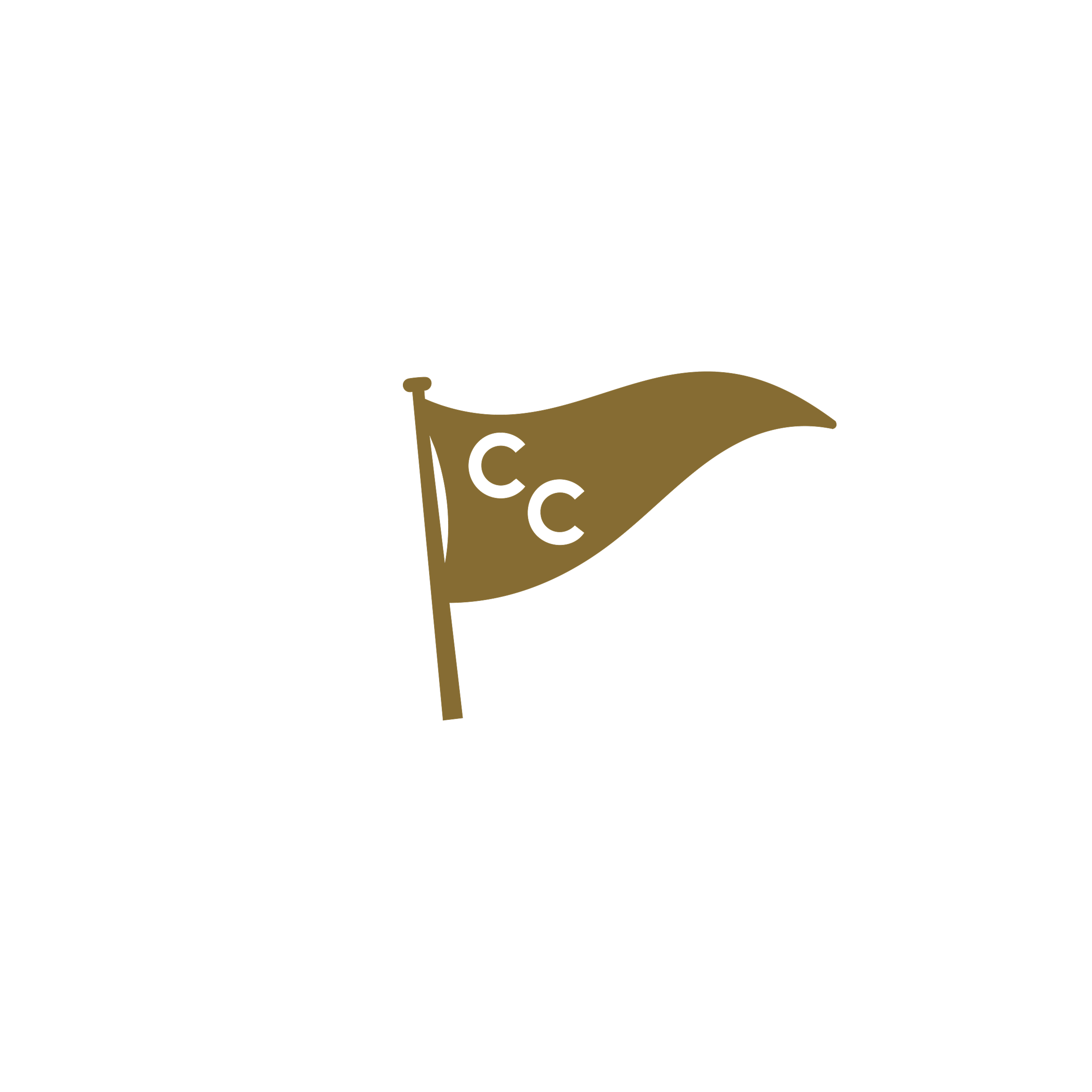 Court_Flag.png