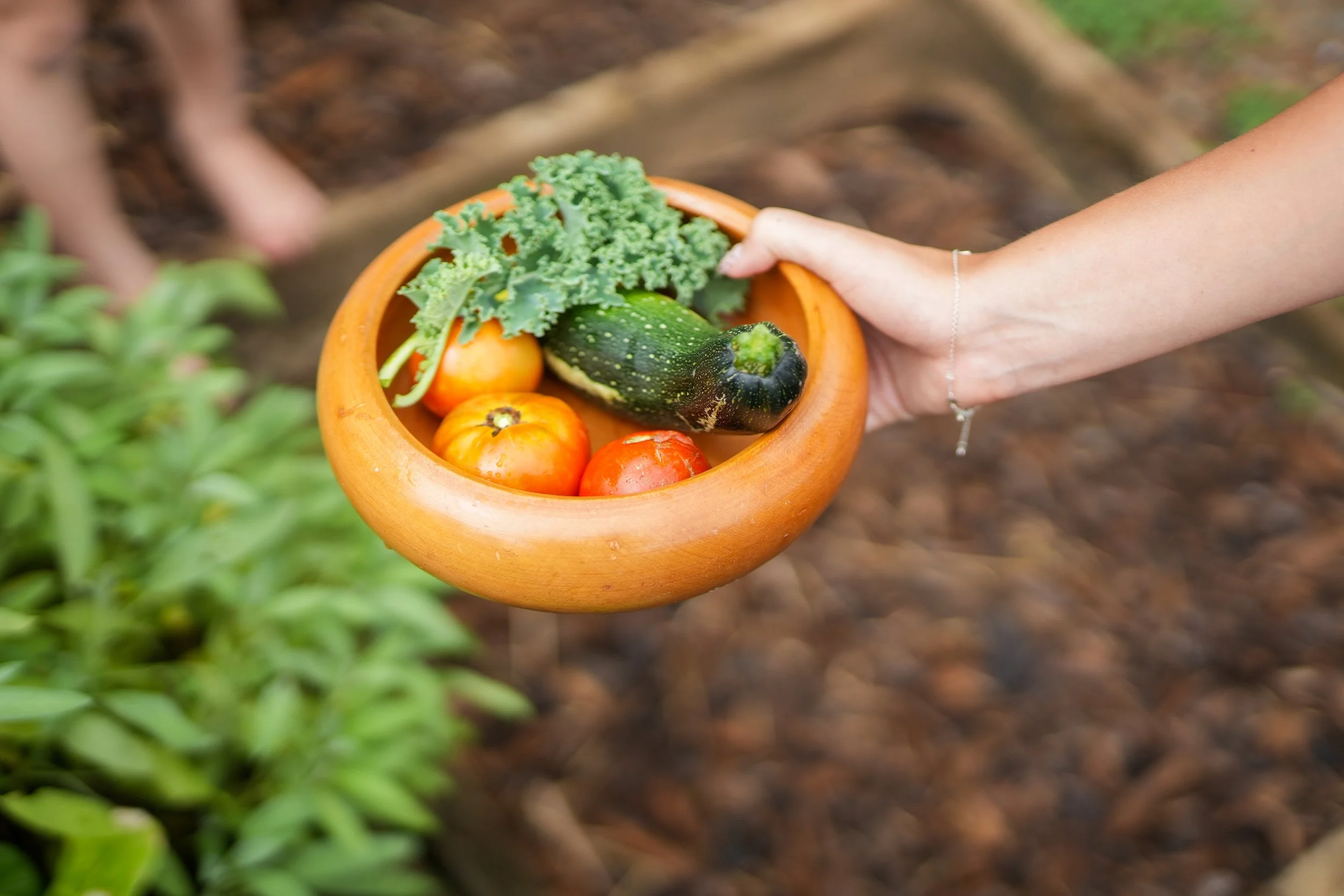 A person holding a wooden bowl filled with fresh vegetables including tomatoes, cucumber, kale, and possibly some lettuce, outdoors with a garden background.