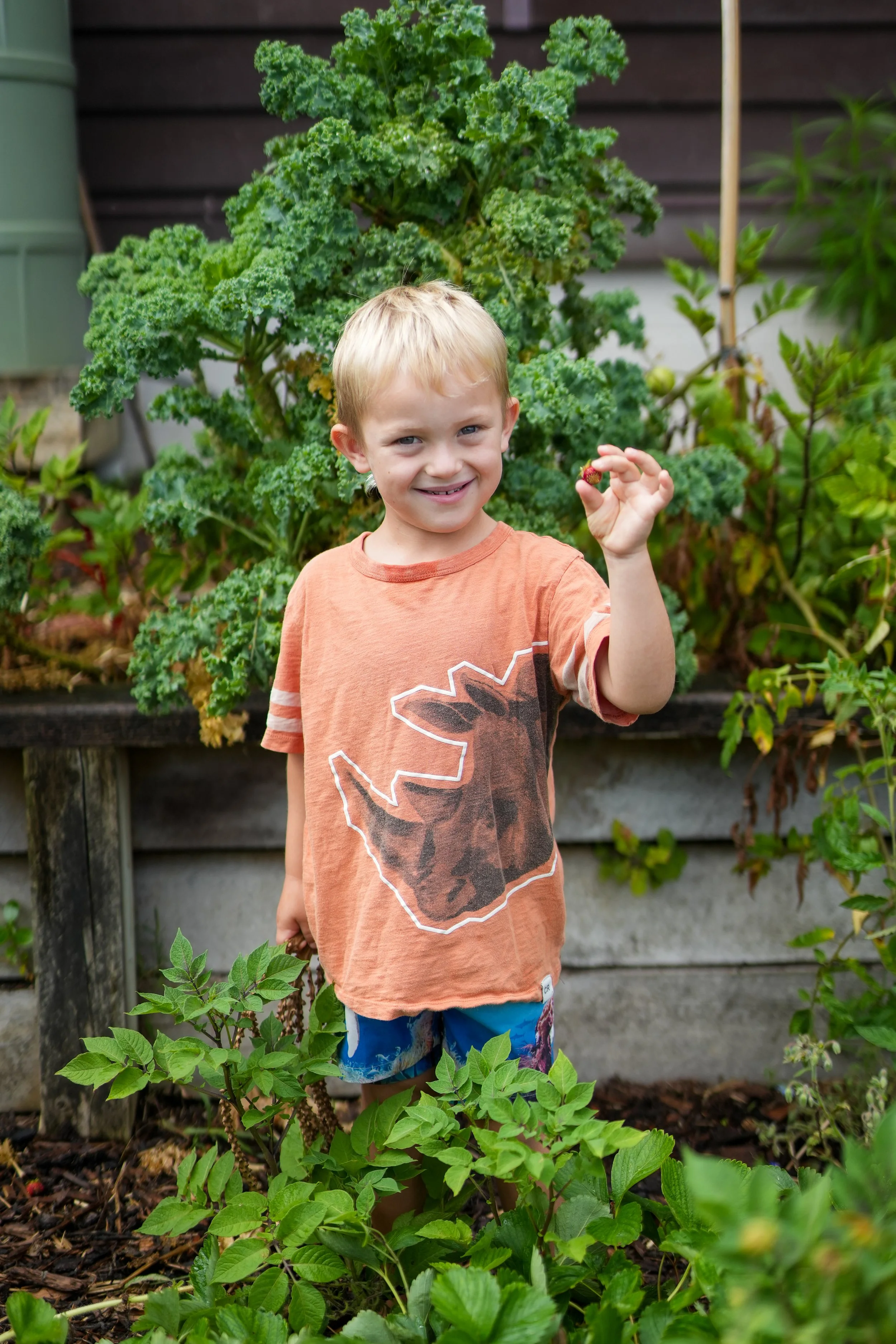 A young boy holding a small berry in a garden with leafy plants and a large curly kale plant in the background.