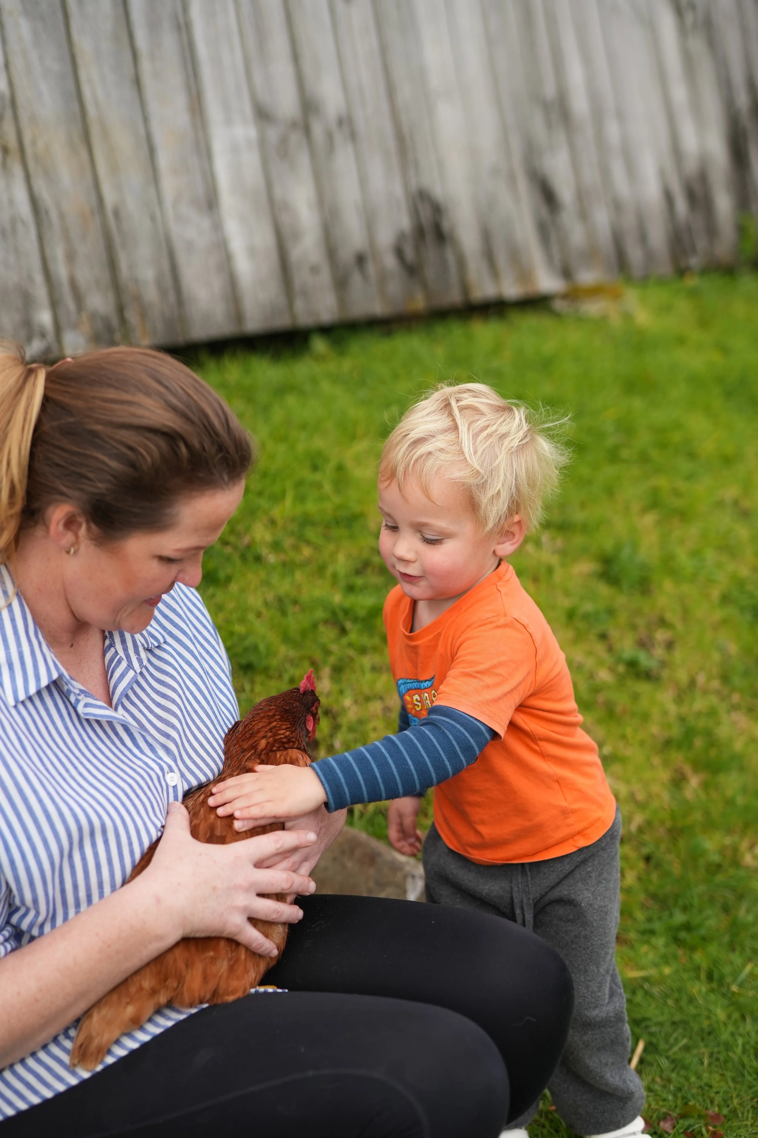 A woman and a young boy interacting with a brown chicken outdoors on a grassy area with a wooden fence in the background.