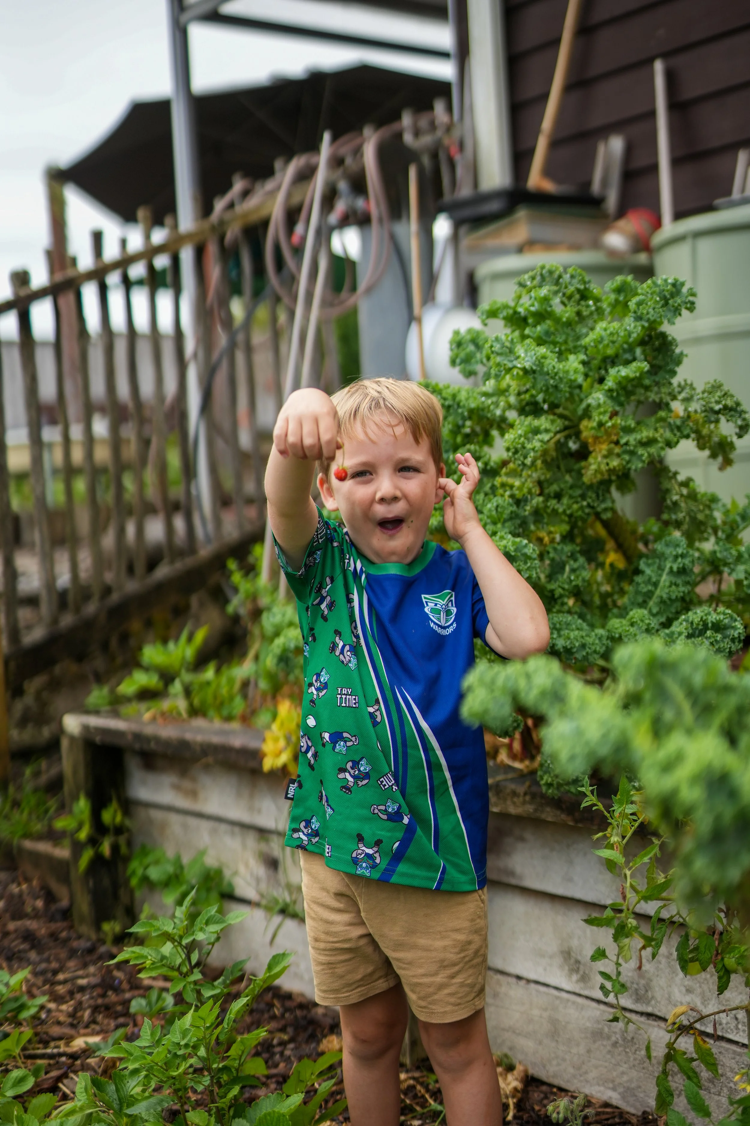 A young boy standing in a vegetable garden, holding a small cherry tomato in his hand, smiling and showing it to the camera.