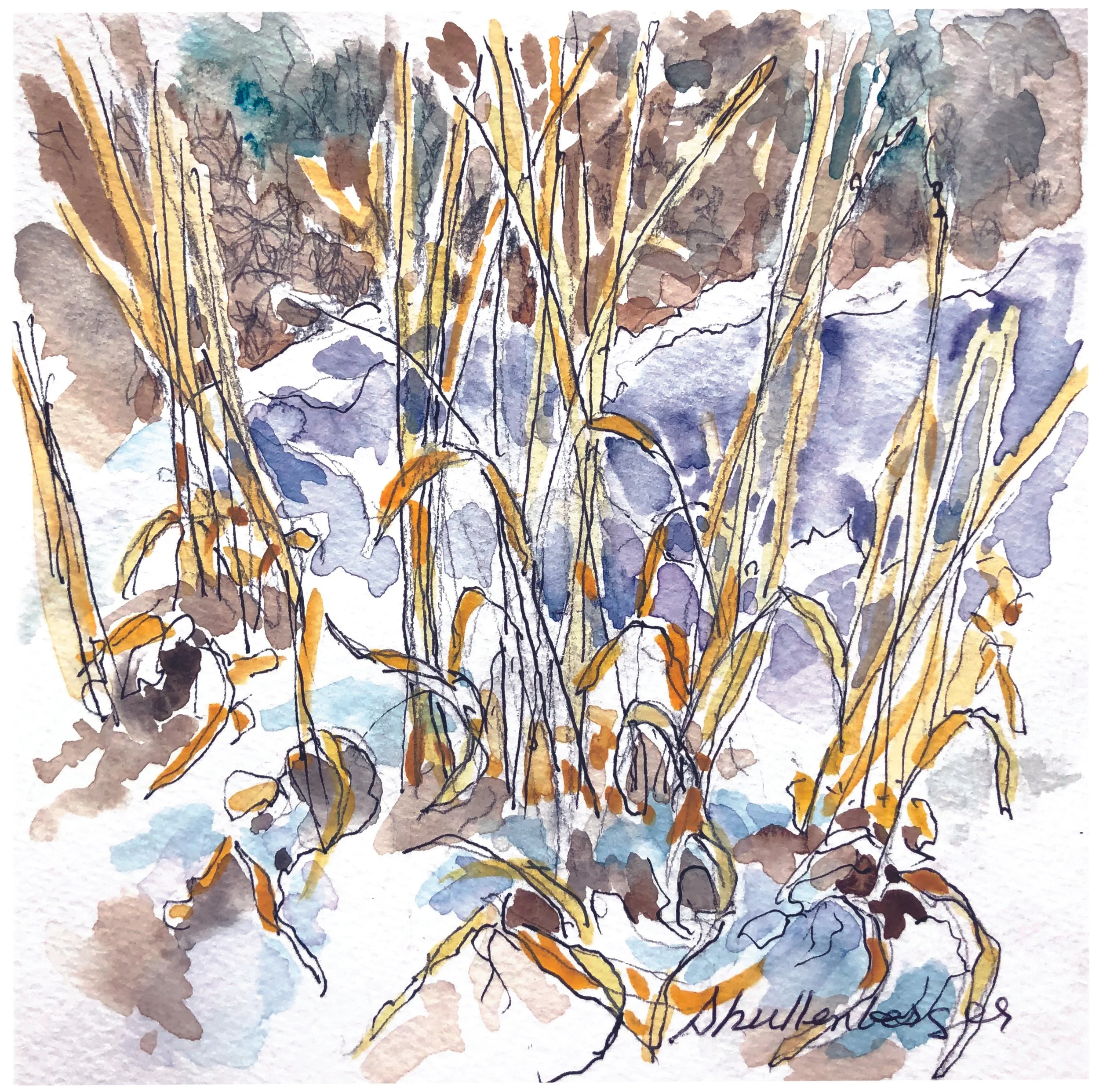 WINTER GRASSES