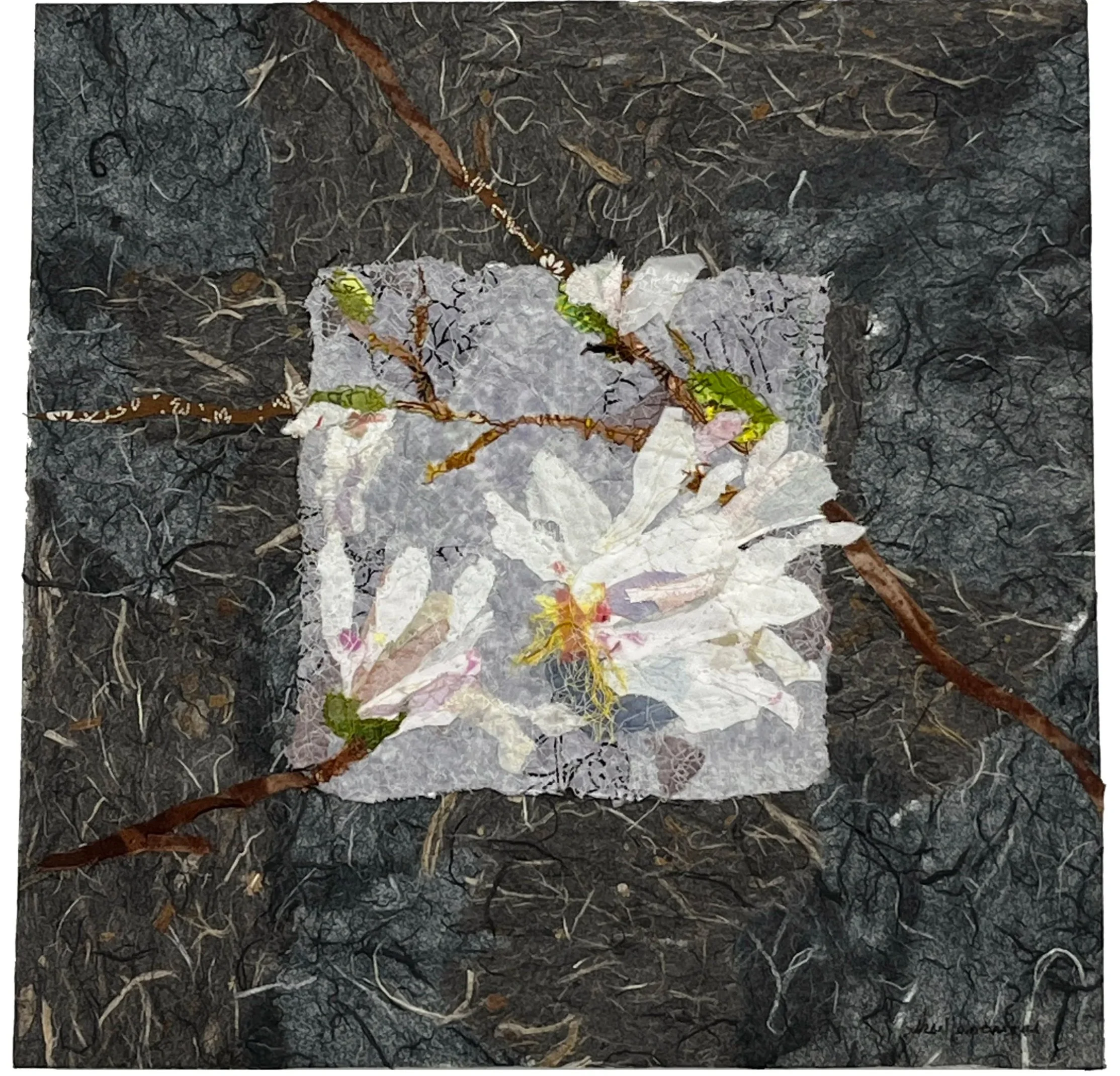 STAR MAGNOLIA II
 
piece mounted on a wooded box   12" x 12" x 2
