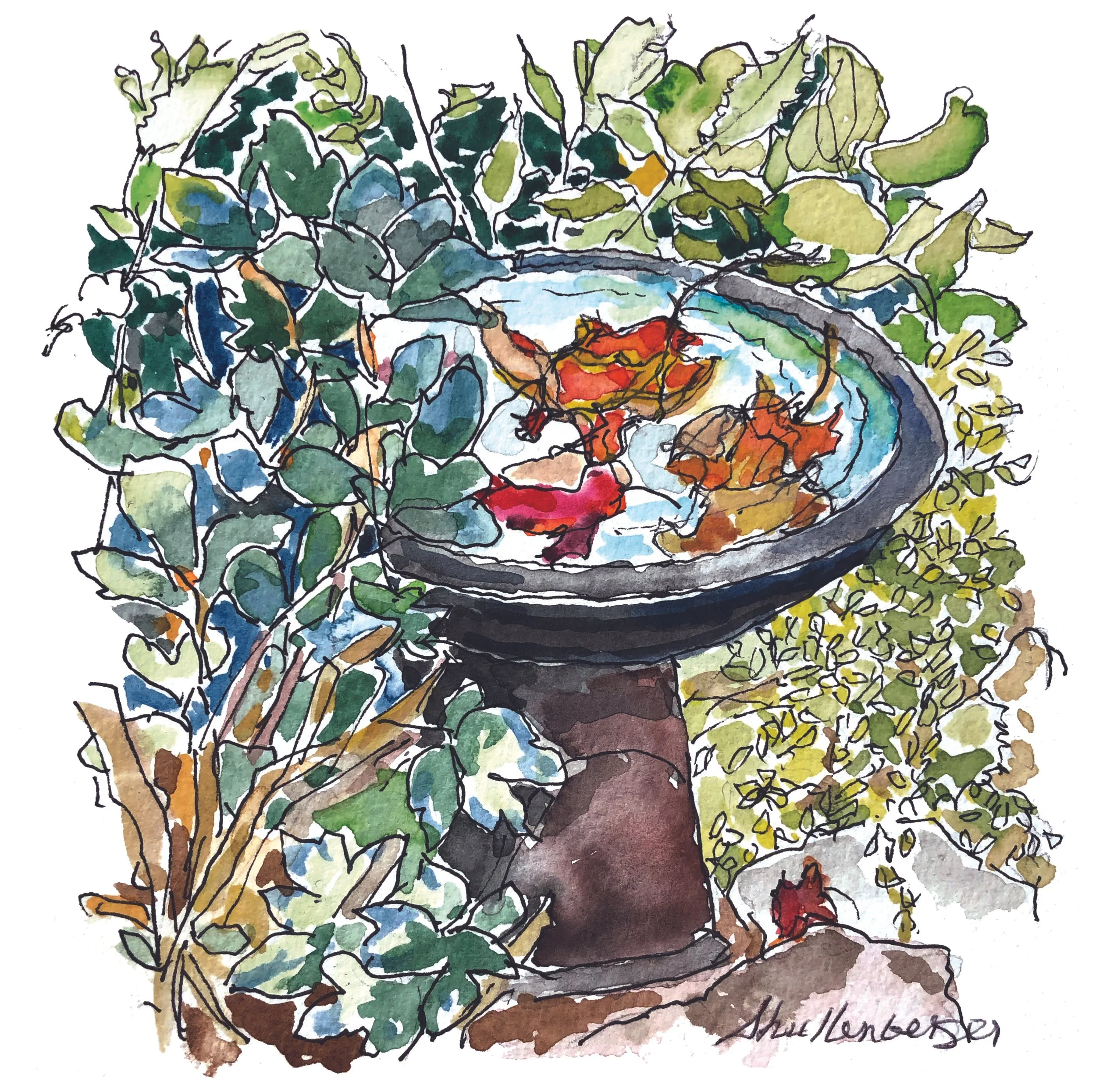 END OF SEASON -   SOLD  