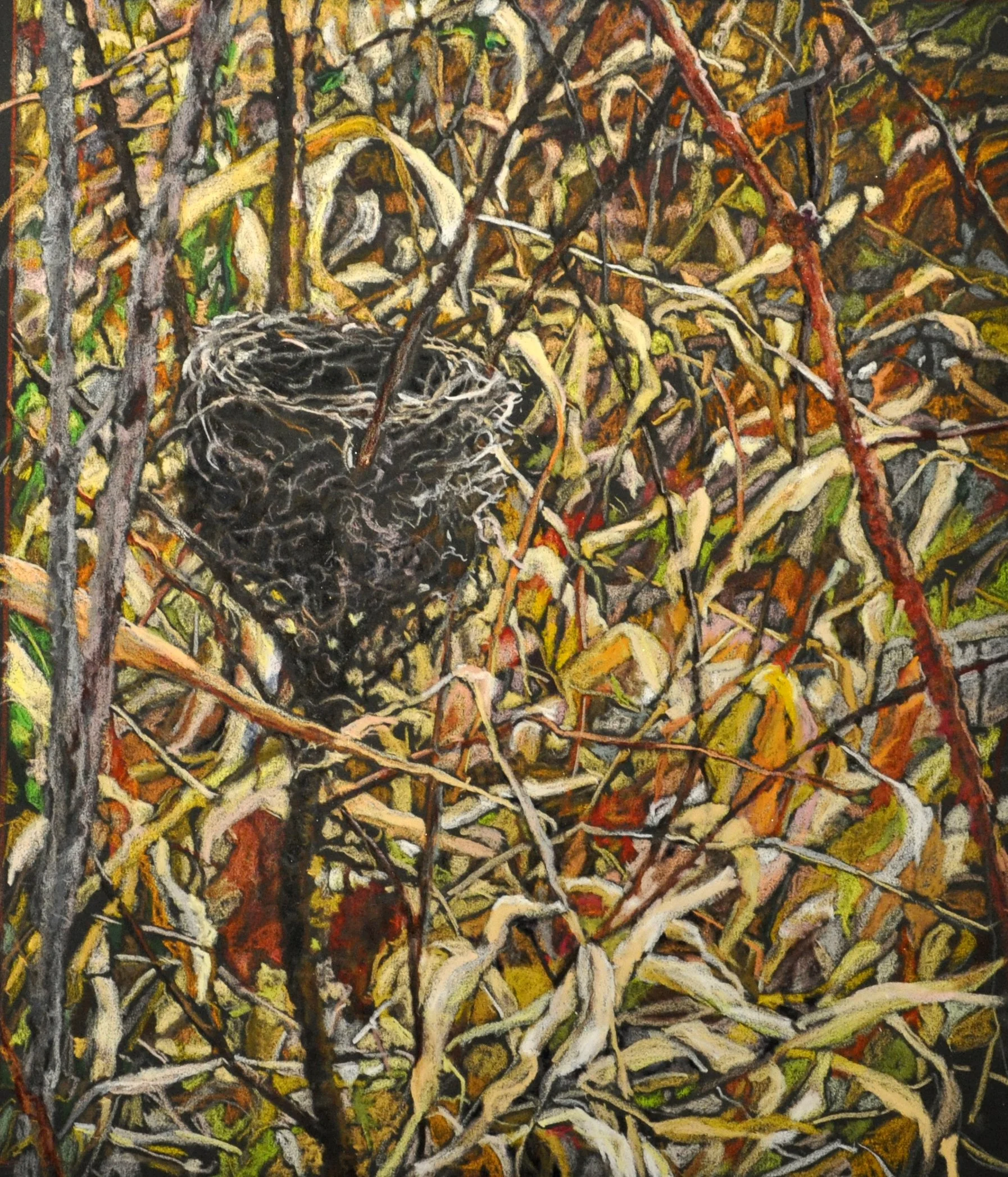 BIRD'S NEST -   SOLD  
 
13" x 11" piece
 
23" x 20" framed