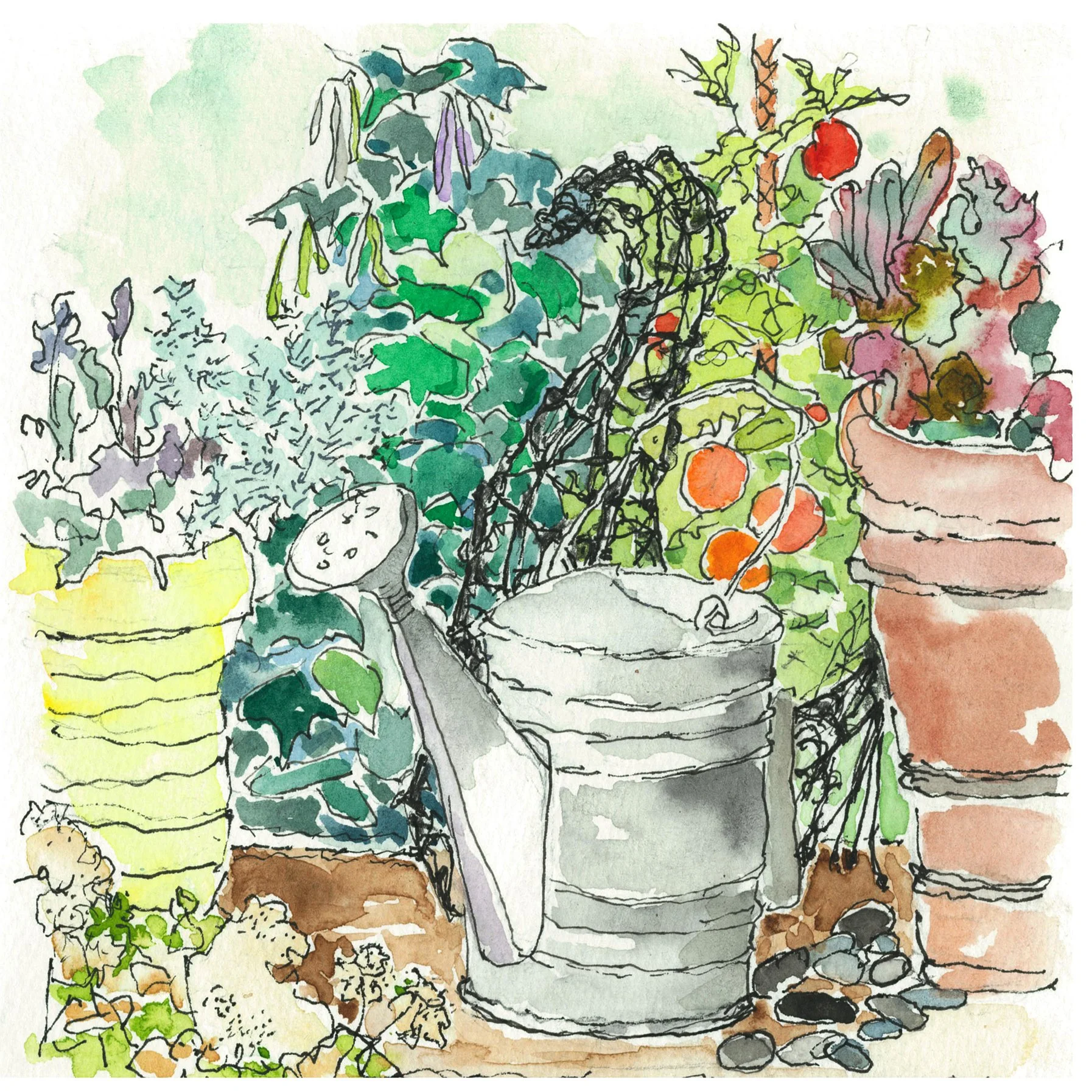 THE WATERING CAN -   SOLD  