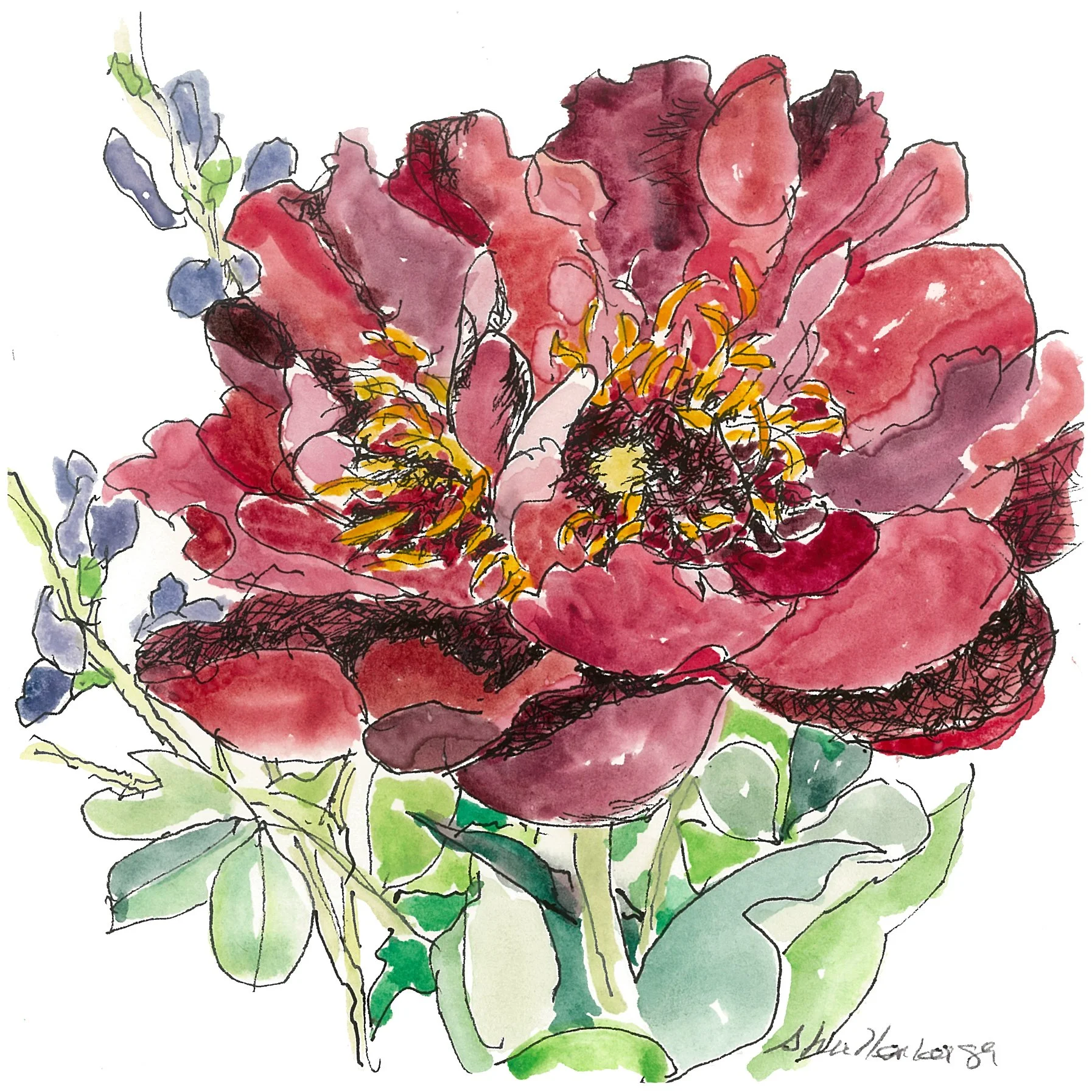 PEONY