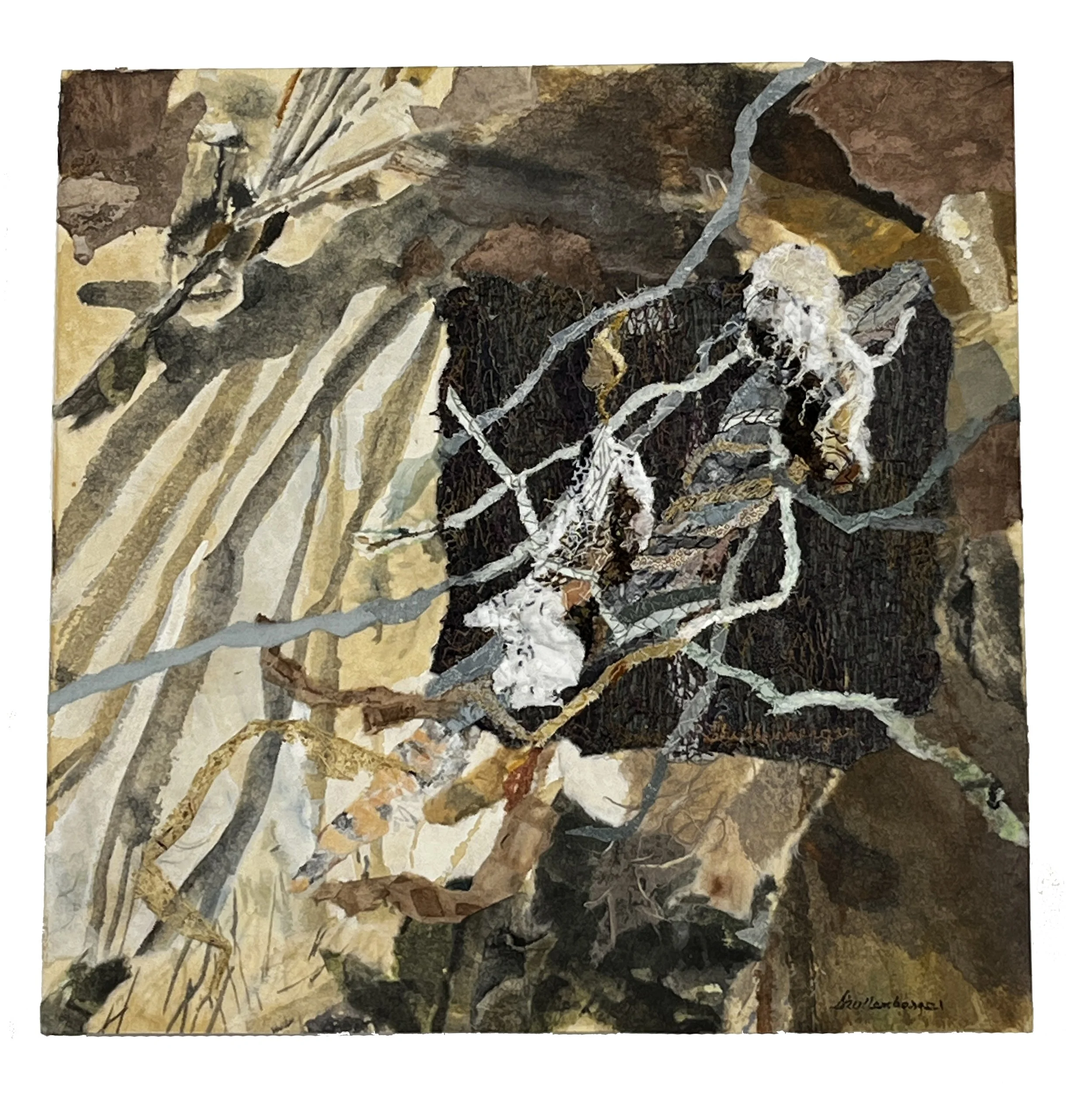 DRIED VINE
 
piece mounted on a wooded box   12" x 12" x 2