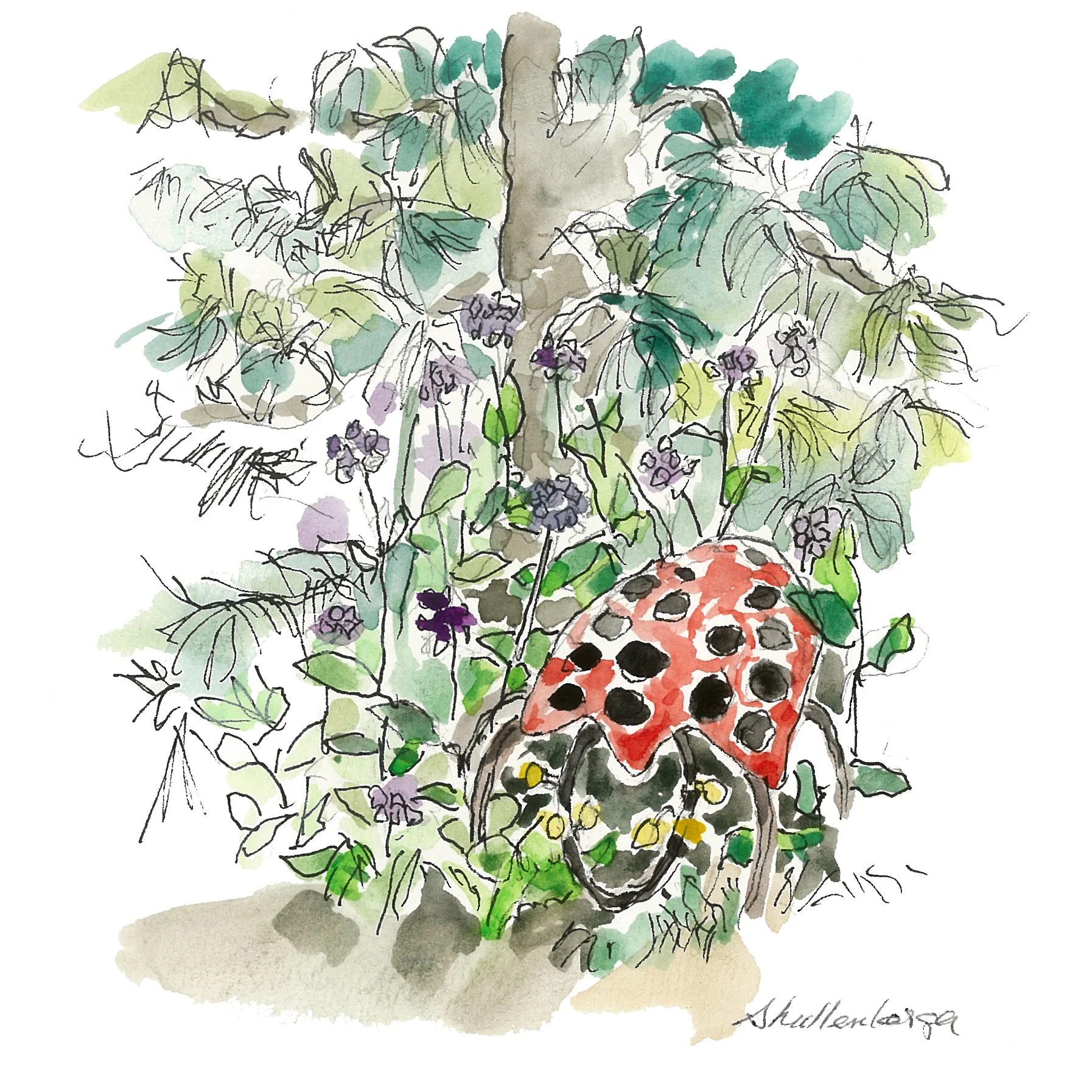 LADYBUG -   SOLD  