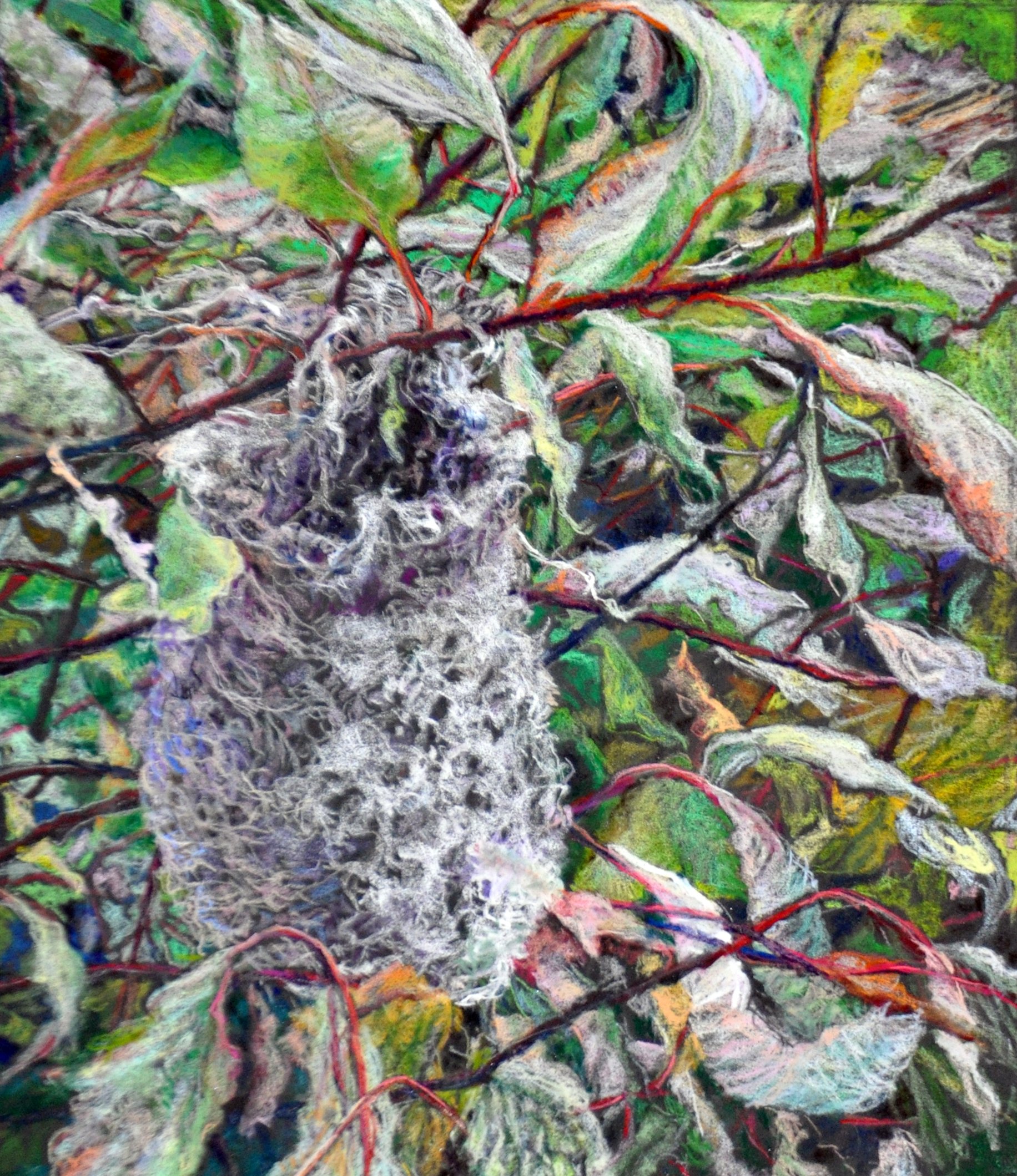 ORIOLE NEST
 
11" x 13" piece
 
20" x 22" framed