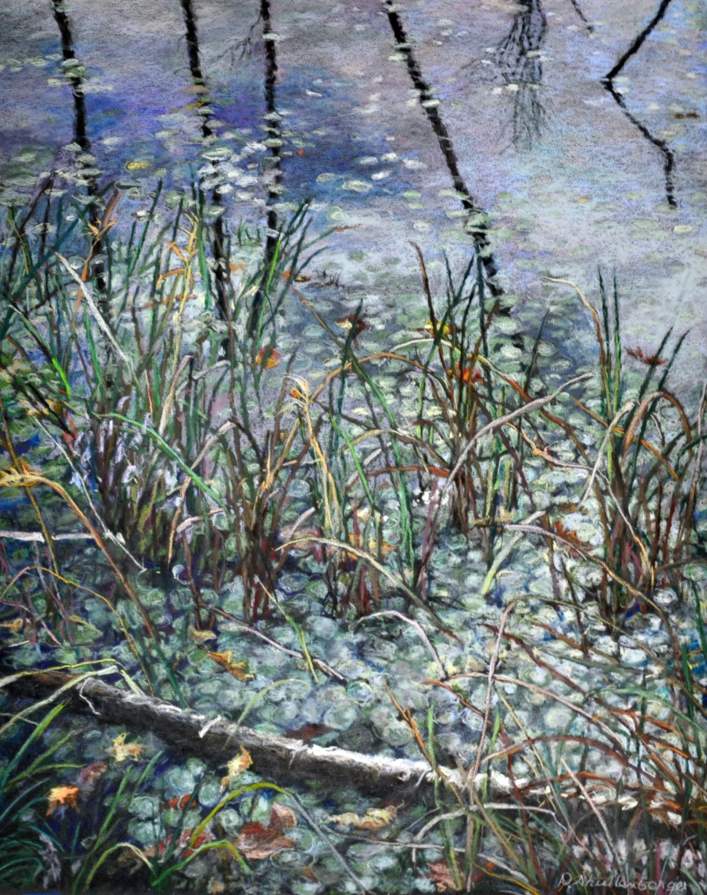 MARSH WATER LILIES -   SOLD  