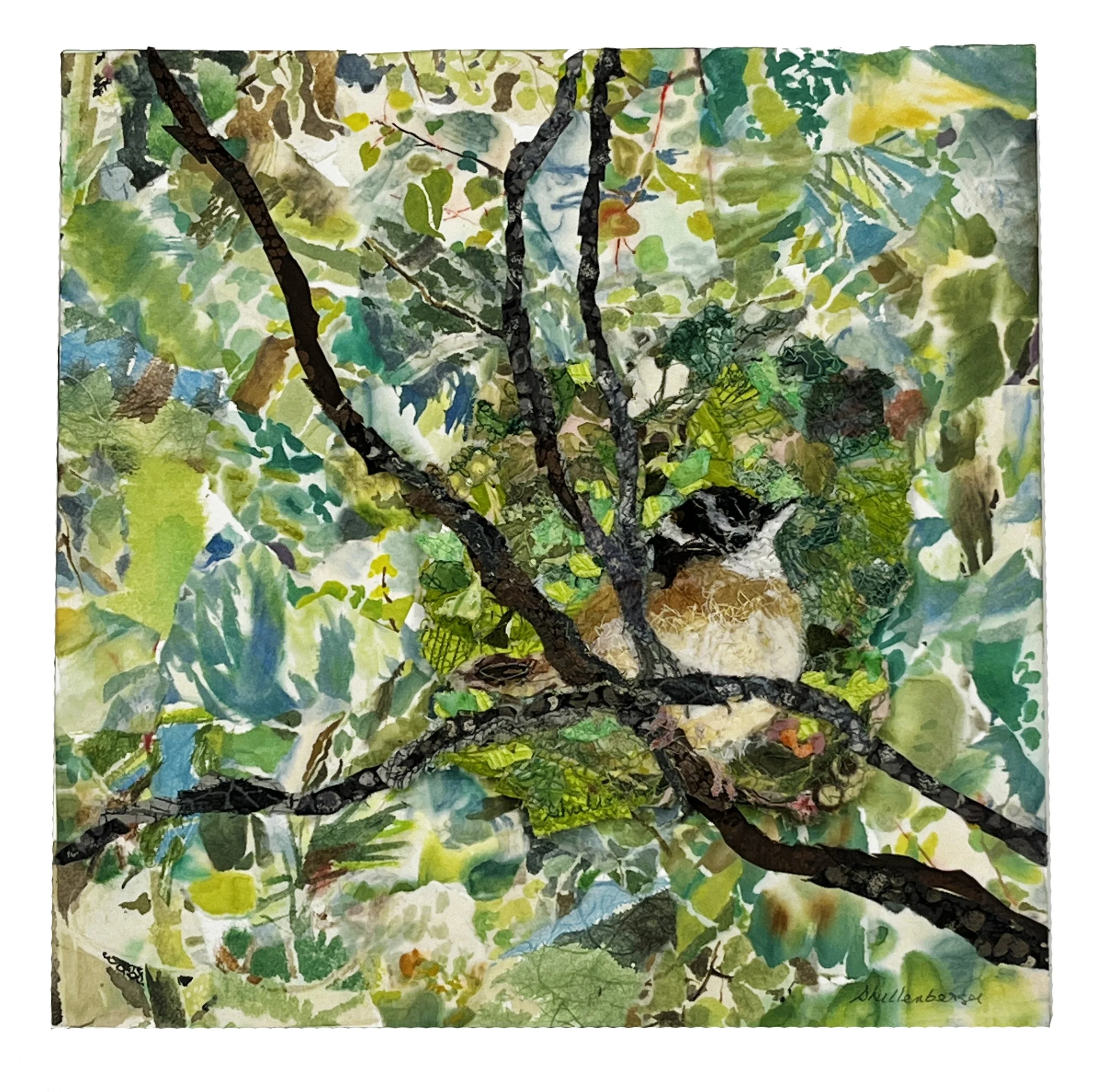 WHITE THROATED SPARROW  
piece mounted on a wooded box    12" x 12" x 2