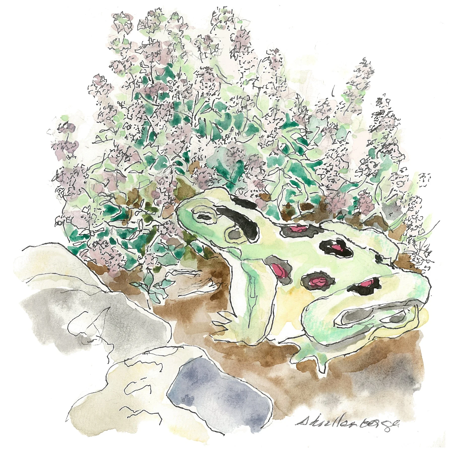 TUCKED IN THE THYME -   SOLD  