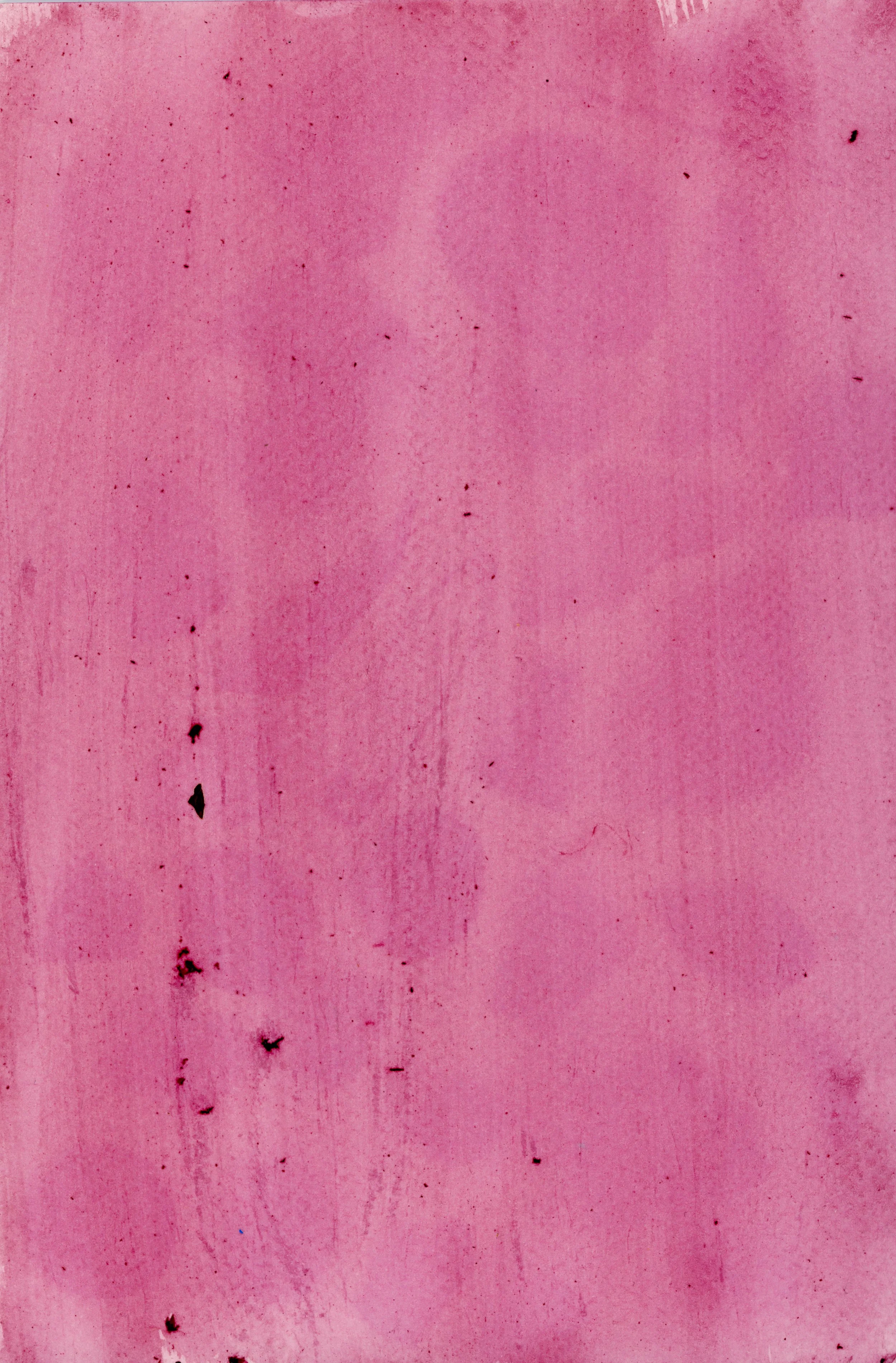 anthotype04 (1).jpg
