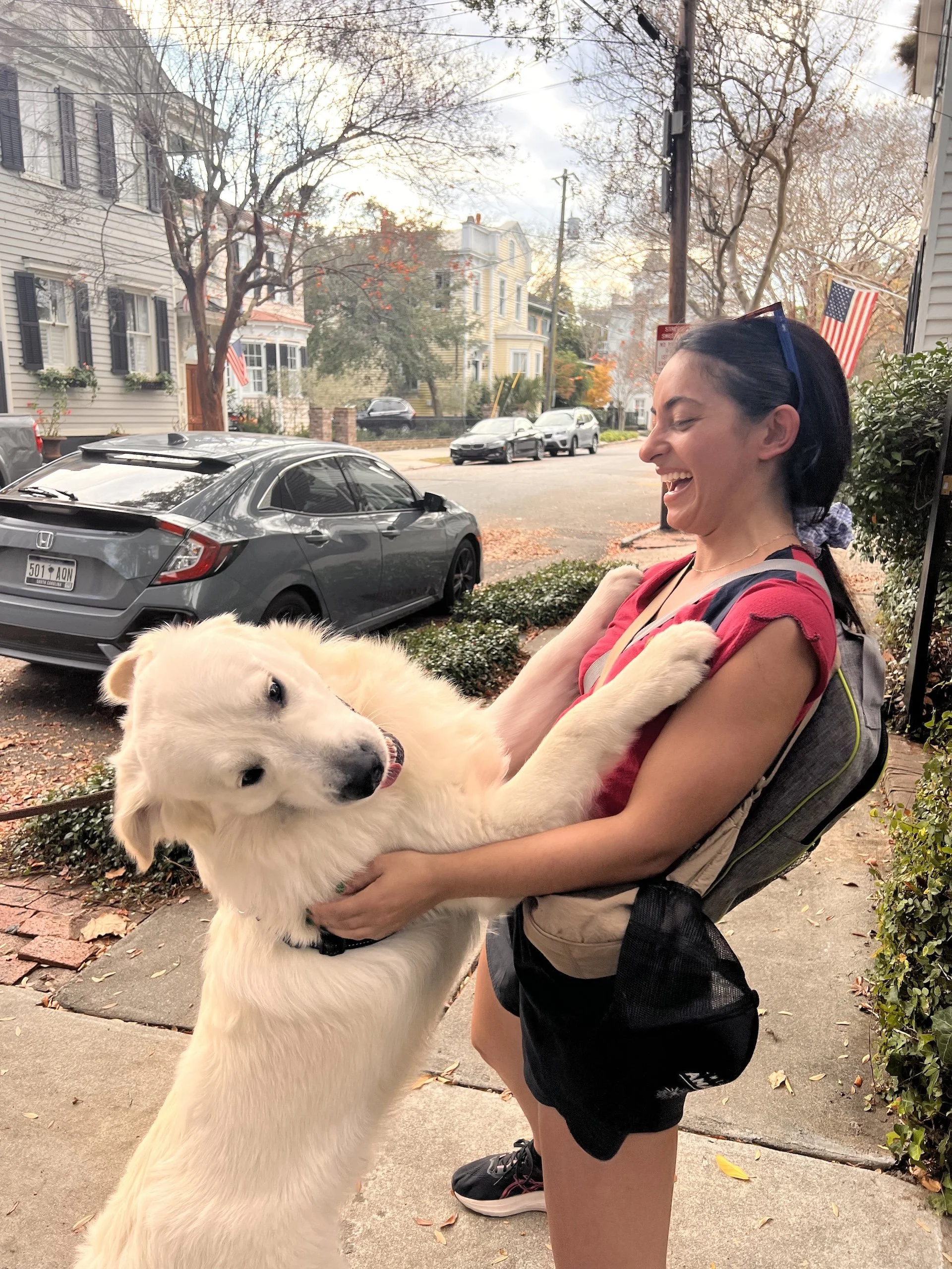 Playing with a large white dog on a sidewalk.