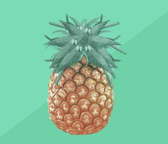 Captura de pantalla 2026-01-08 a las 10.32.10.png