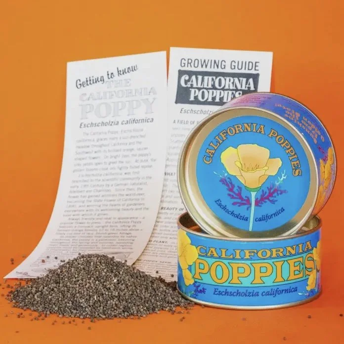 California poppy Seeds