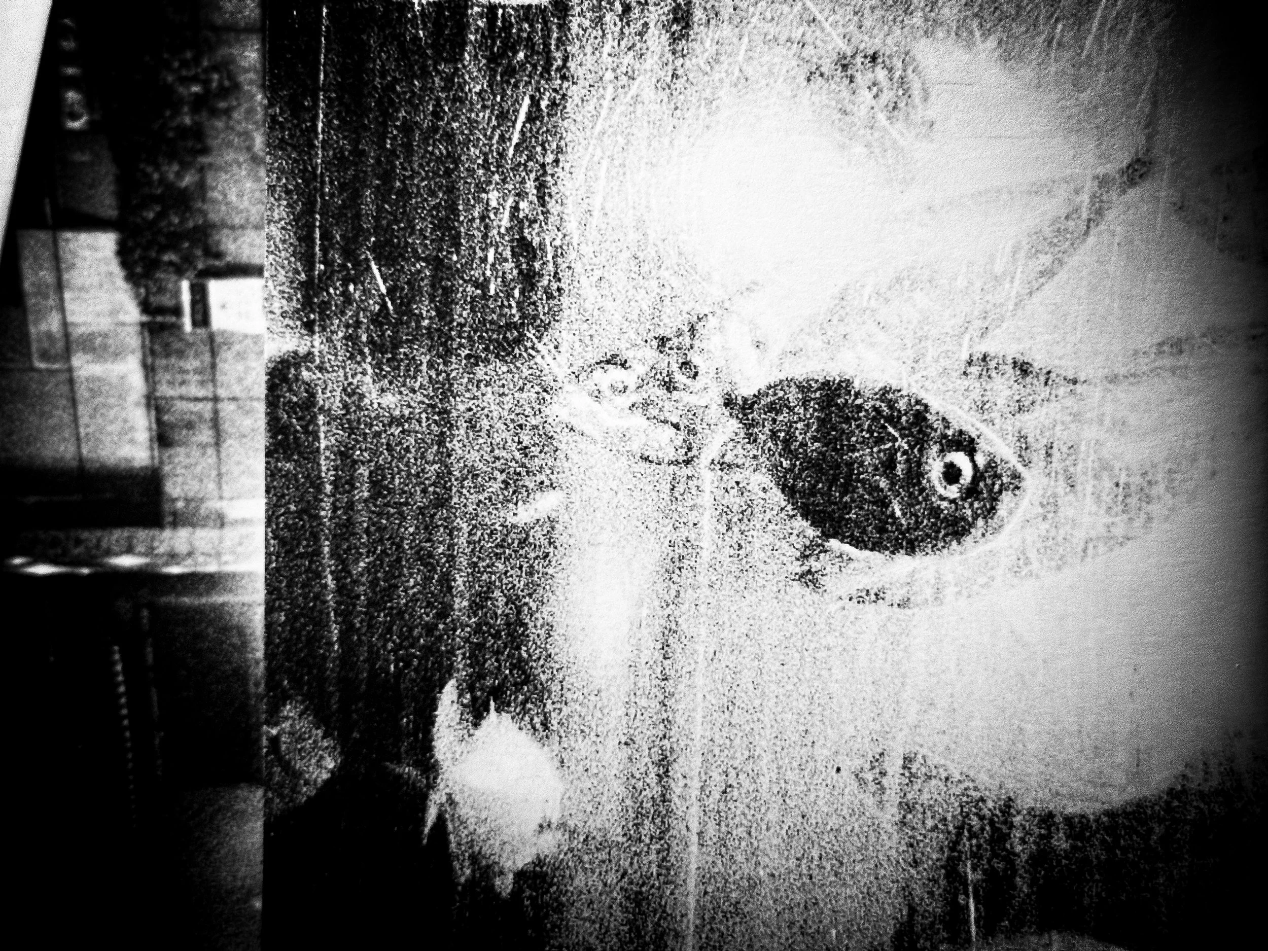 En side av en bok scannet.