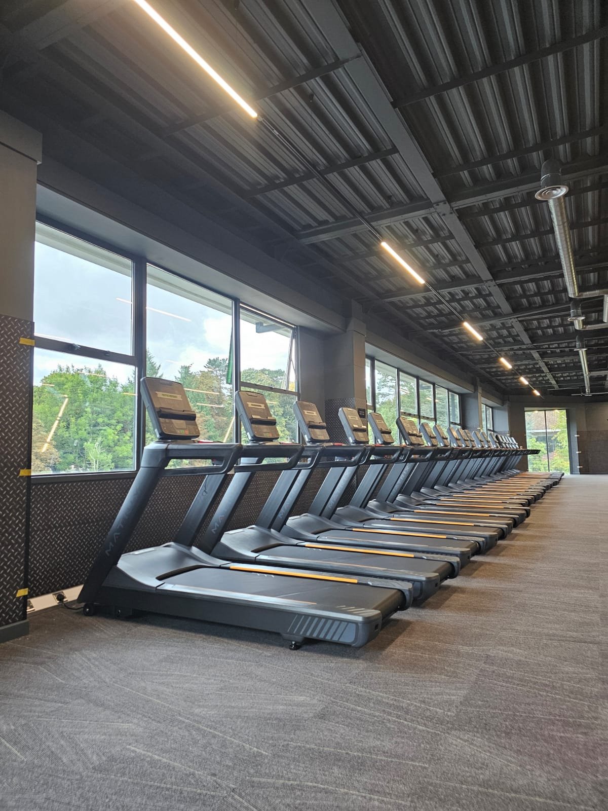 Row of black treadmills in a modern gym with large windows showing trees outside.