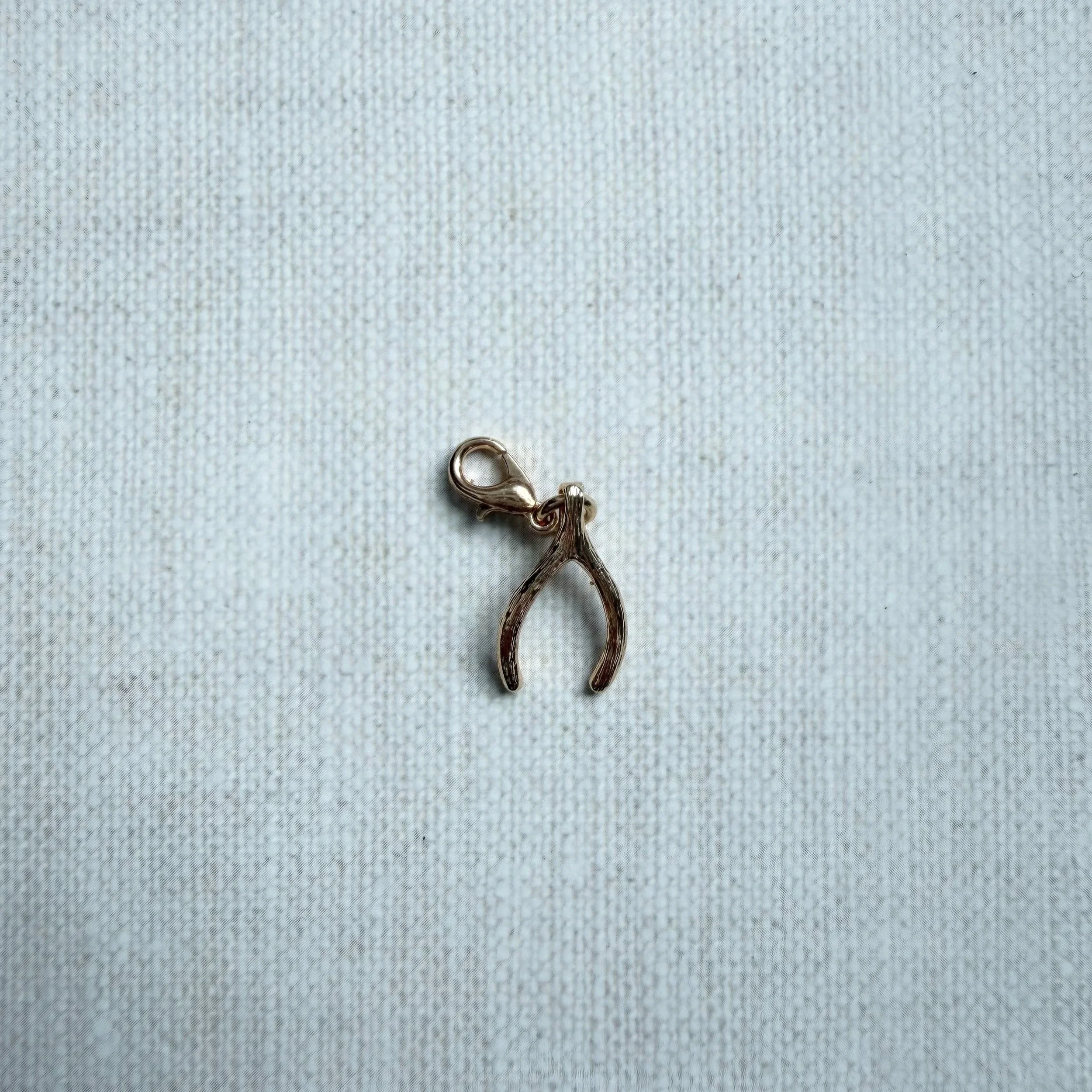 wishbonecharm.jpg