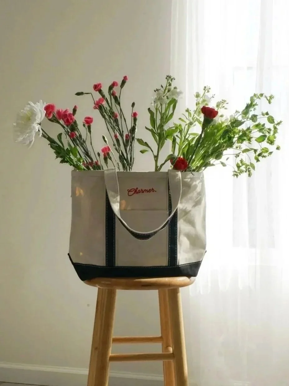 black and white contrast bag with red stitching