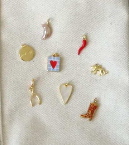 Interchangeable Charms