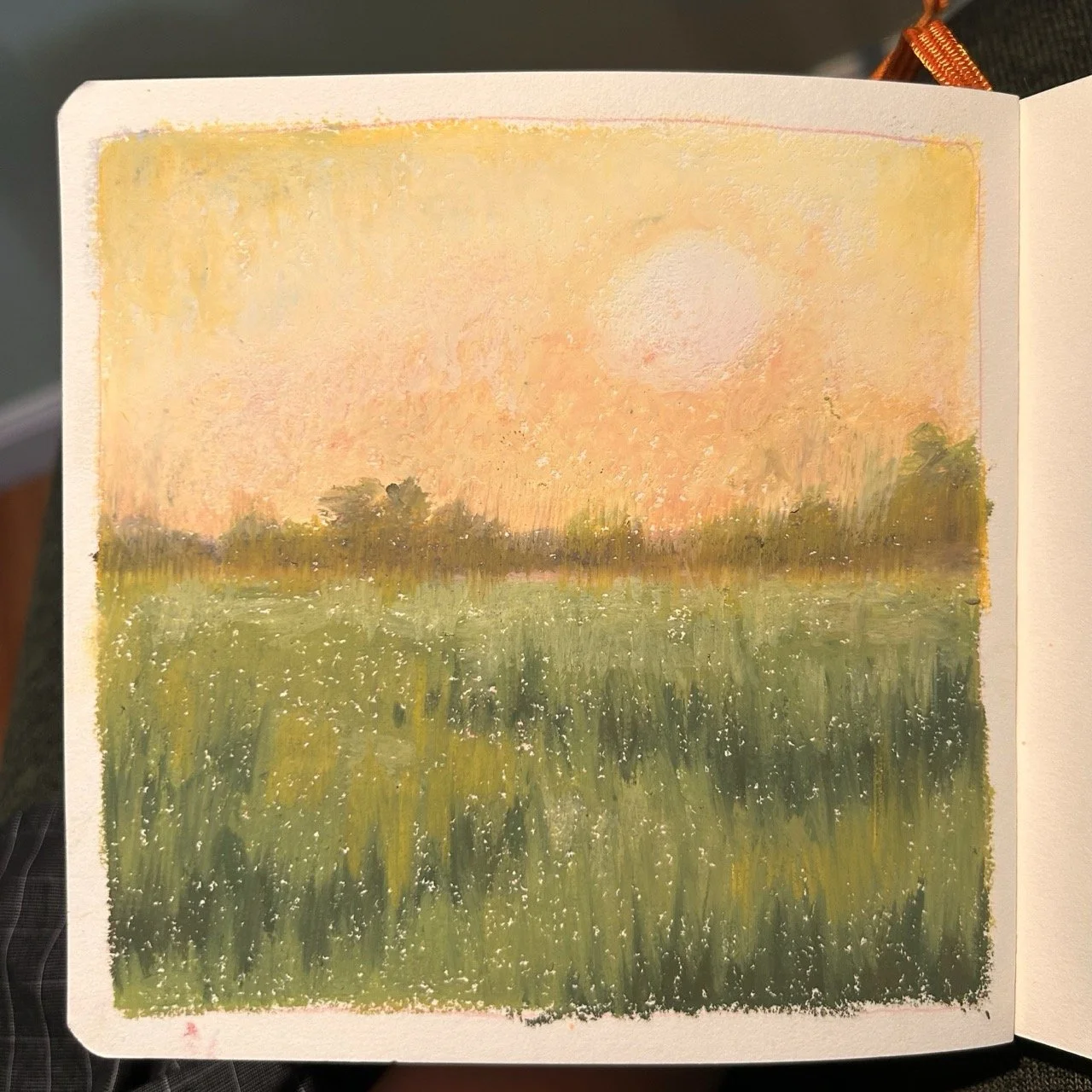 Chokpapon_Jacky_rice field Large.jpeg