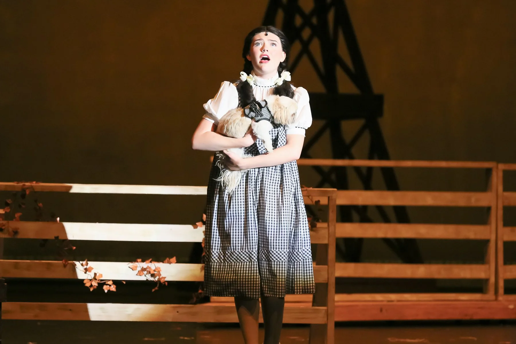 A young girl wearing a traditional dress with a checkered skirt and puffy white blouse holds a small puppy on her chest while performing on stage. She has dark hair styled in two braids with white bows and looks up with a surprised or emotional expre