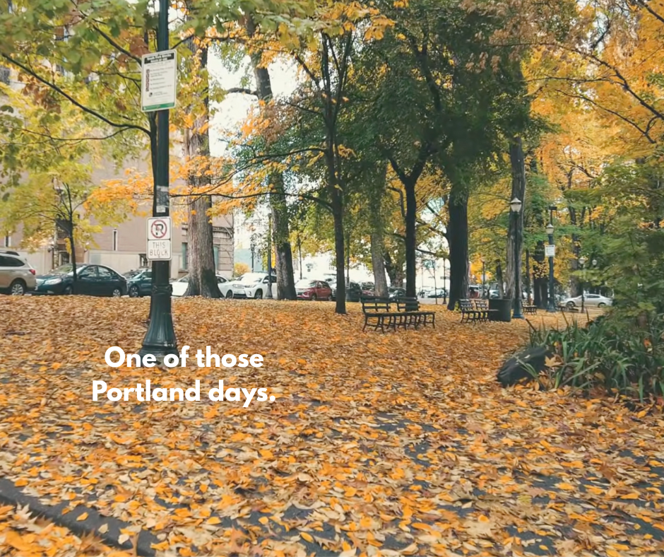 Quiet Winter Walks in Portland: Scenic Neighborhood Routes This Week ...