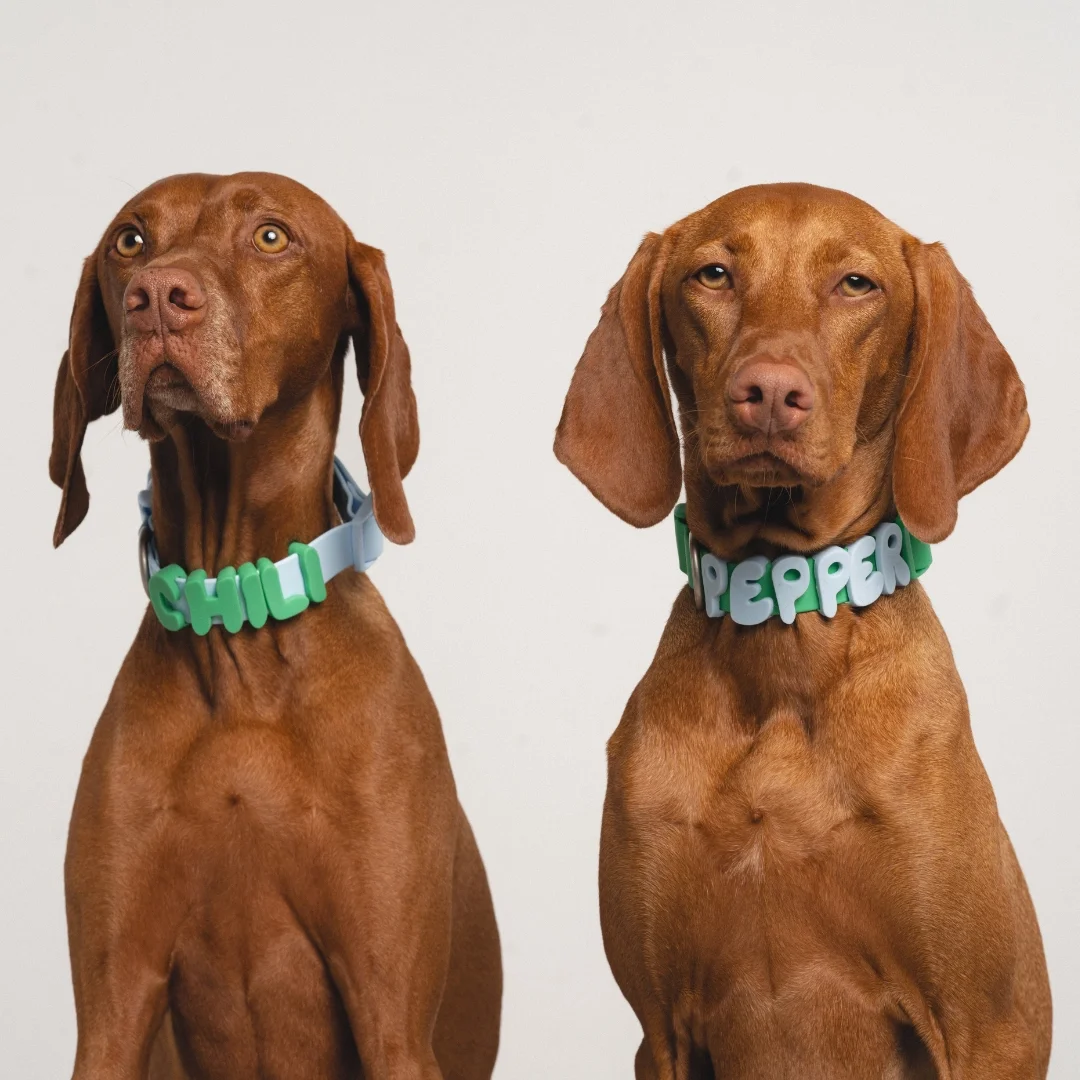 c0df8cb7014c236fe17600efff37144ded4850708da022159ce298b1f6080581.webp