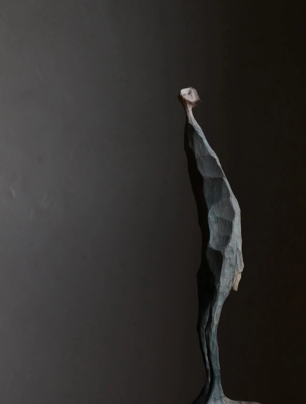 photography and sculptures Fumiya Watanabe