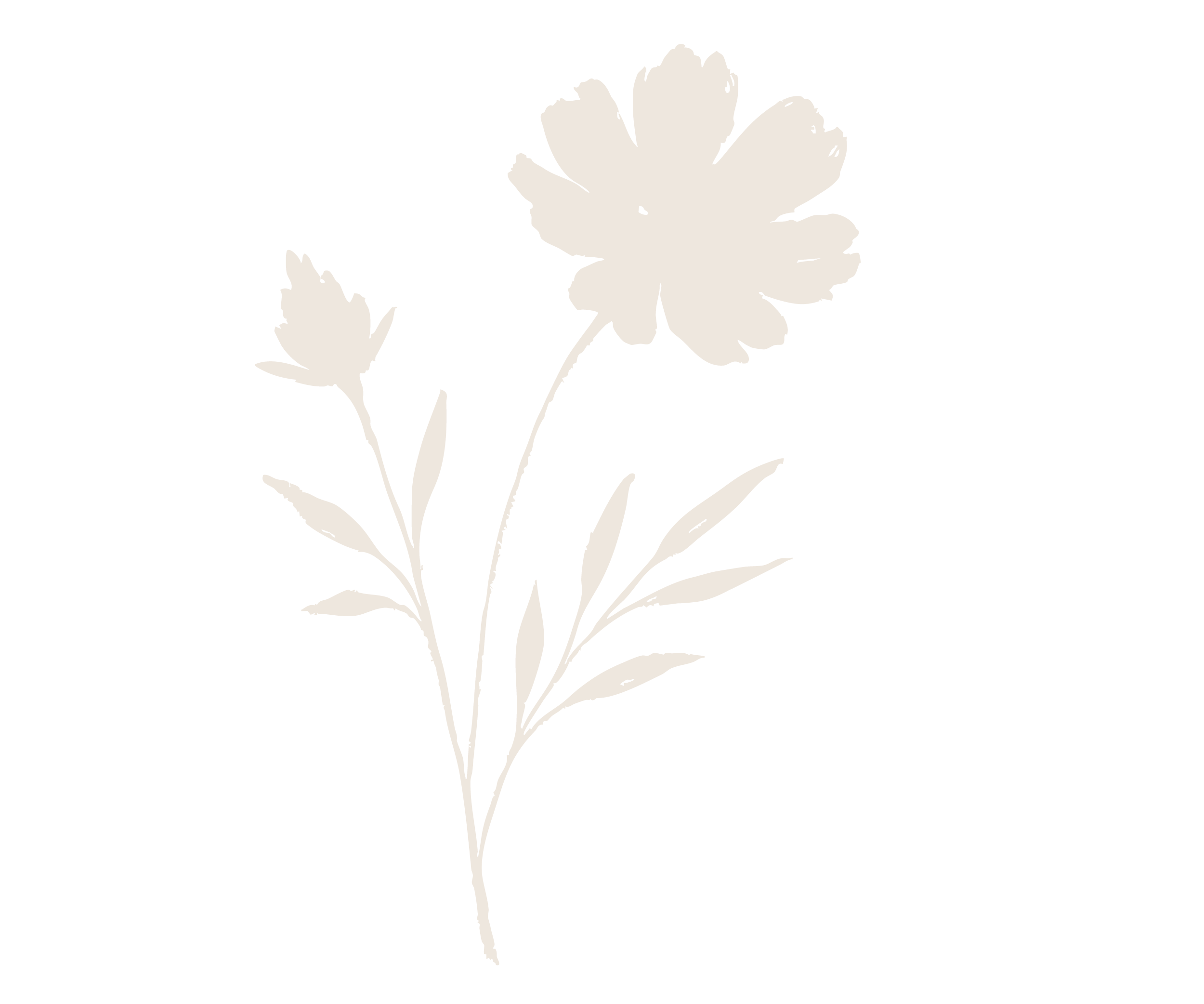 Silhouette of a flower with a large bloom and accompanying buds and leaves on a black background.