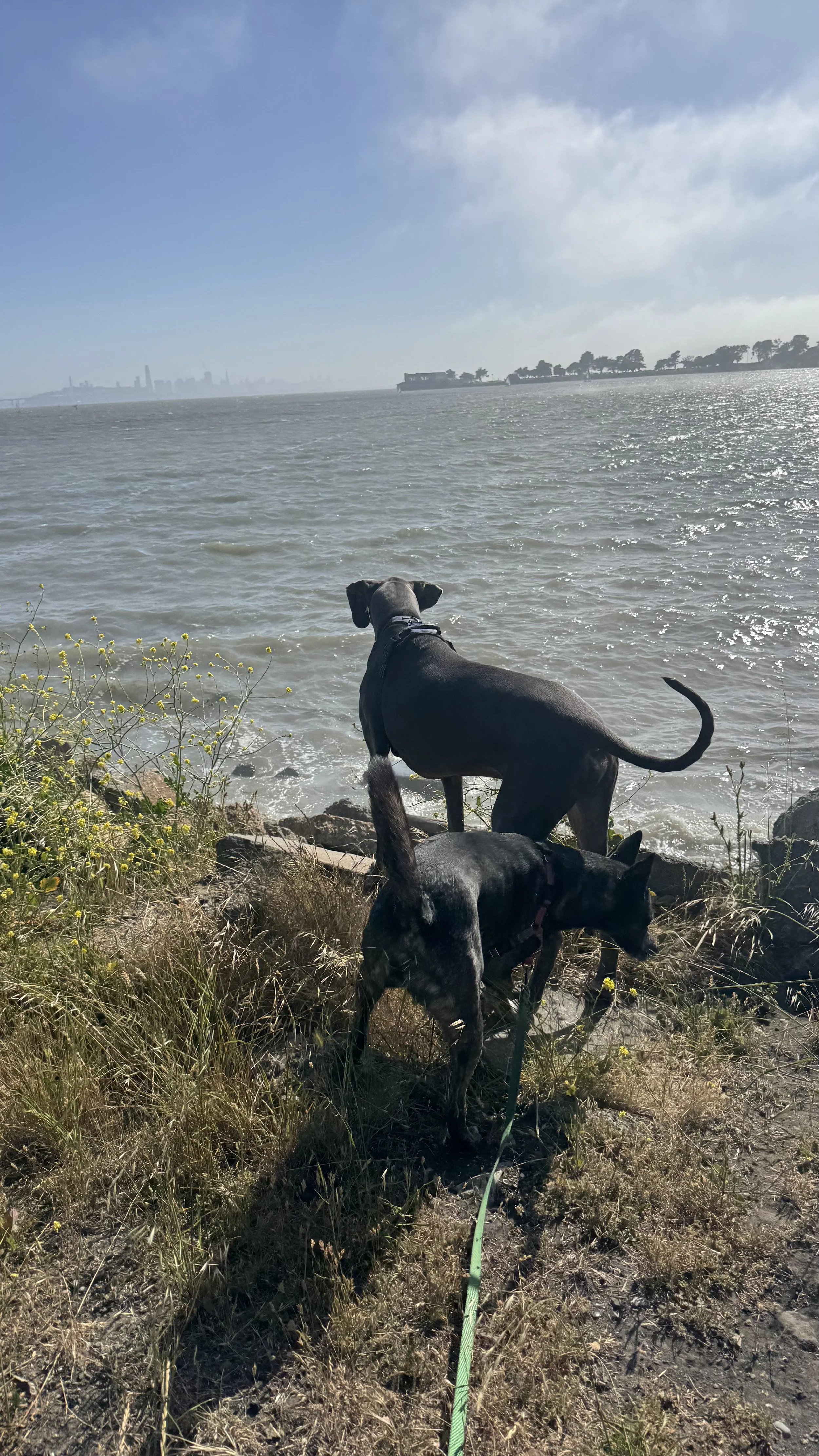 IMG_8116.jpeg