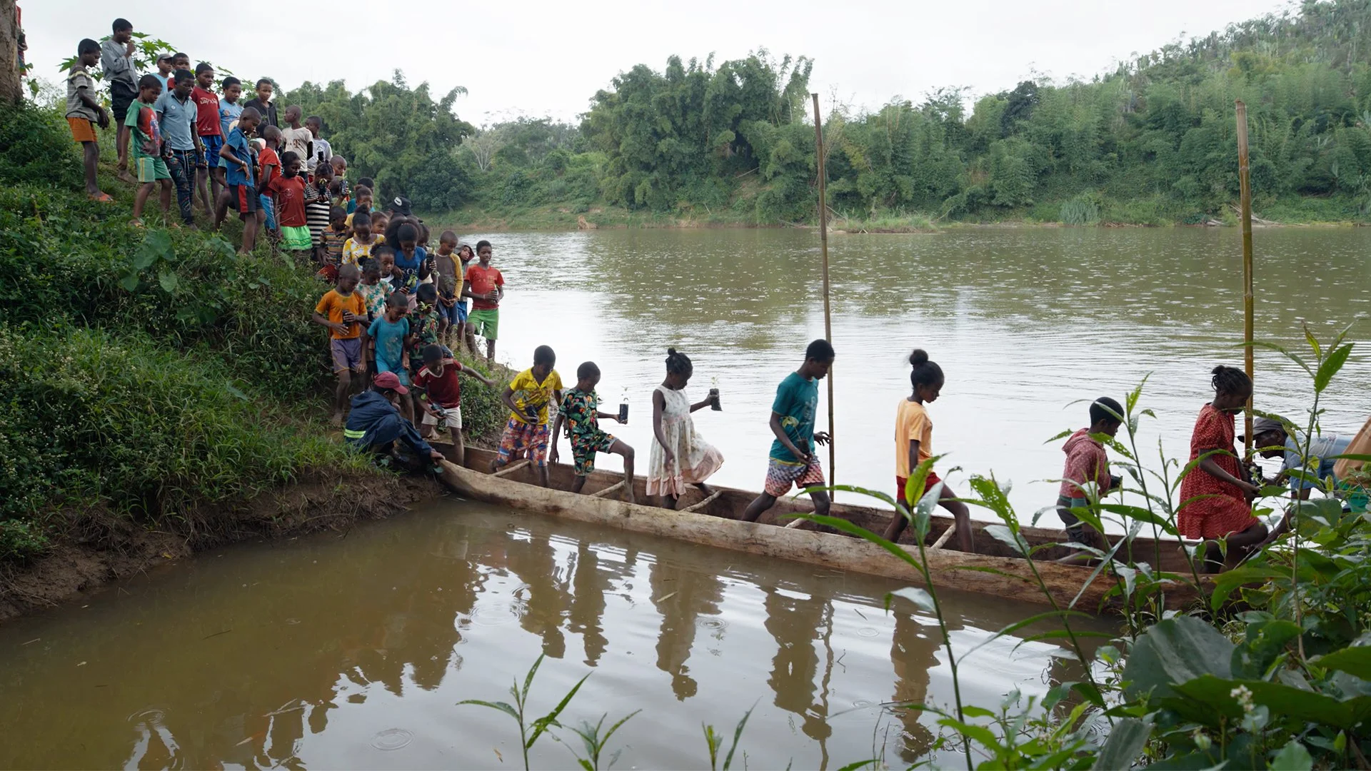 Students on trip to visit agroforestry site
